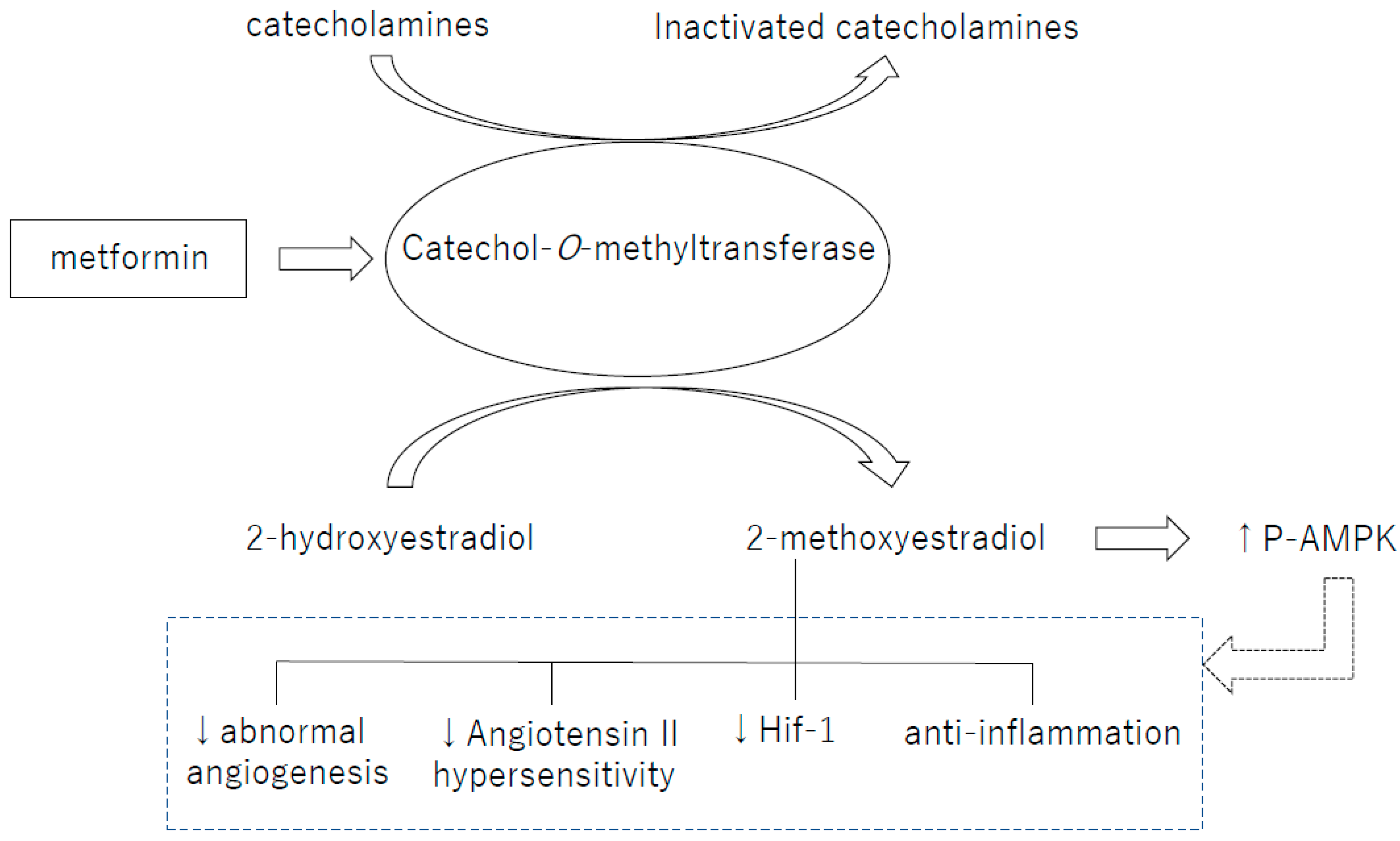 Ijms 19 03076 g001 Ijms 19 03076 g001
