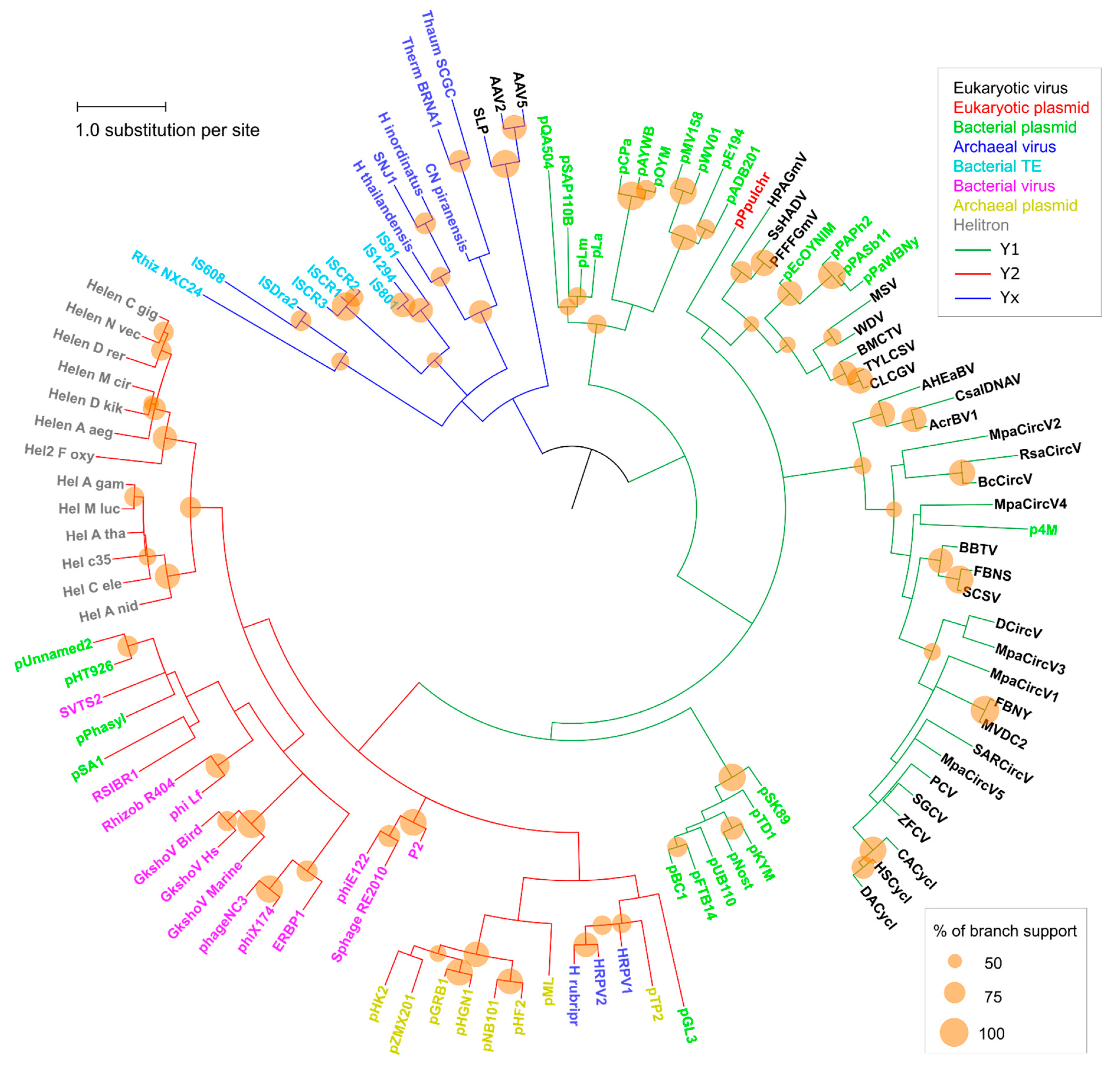 Ijms 19 03079 g002 Ijms 19 03079 g002