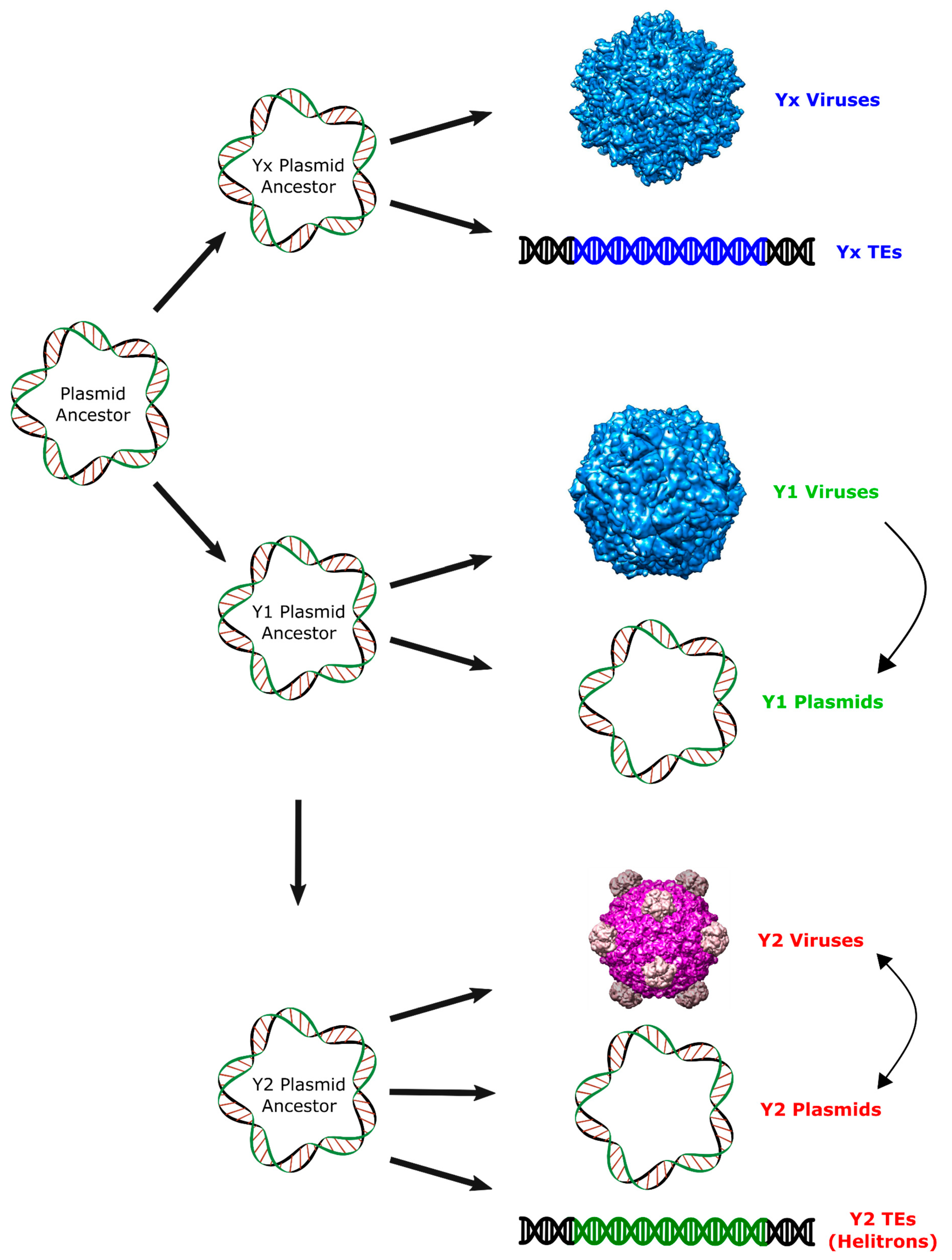 Ijms 19 03079 g004 Ijms 19 03079 g004