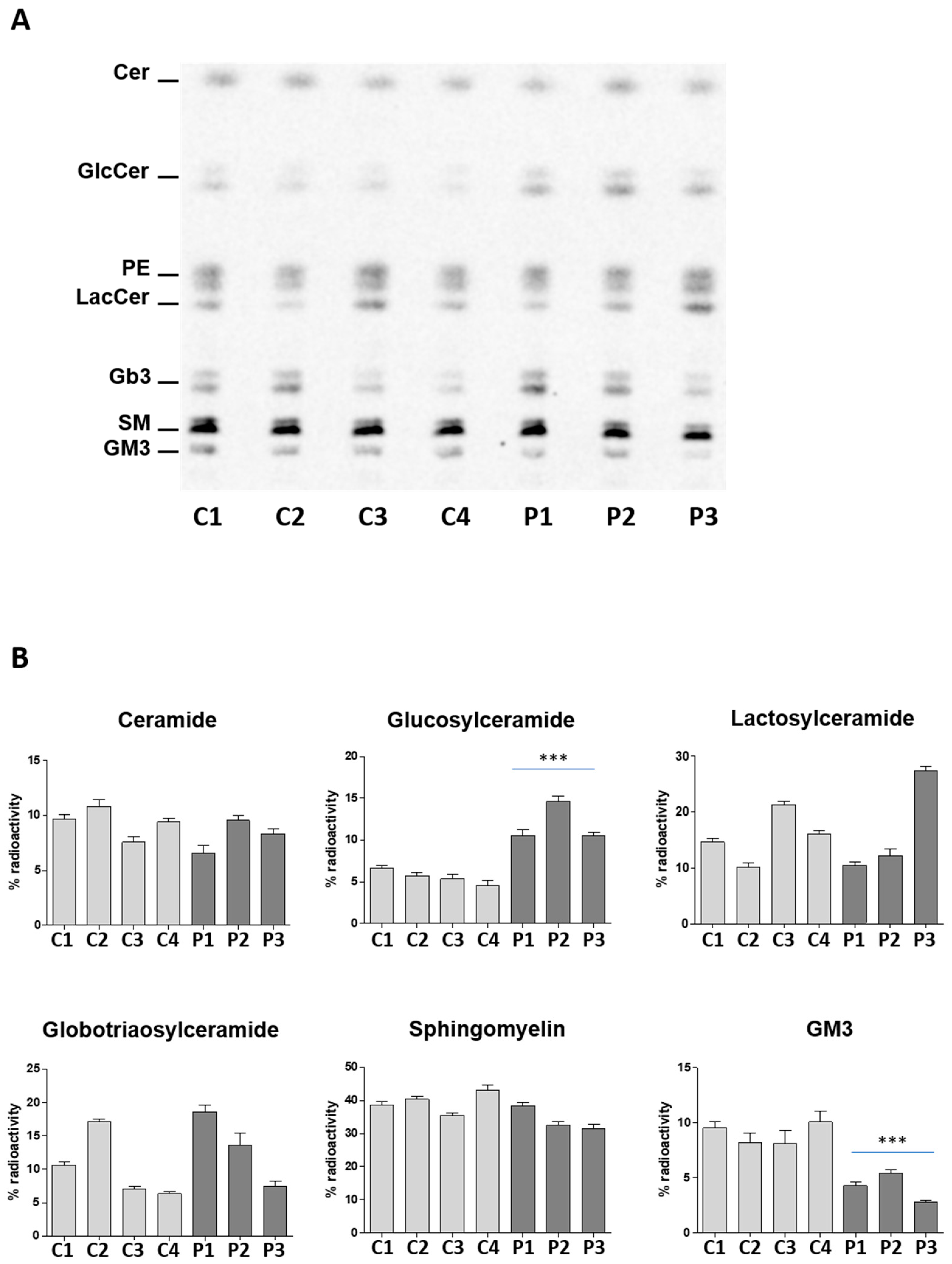 Ijms 19 03099 g002 Ijms 19 03099 g002