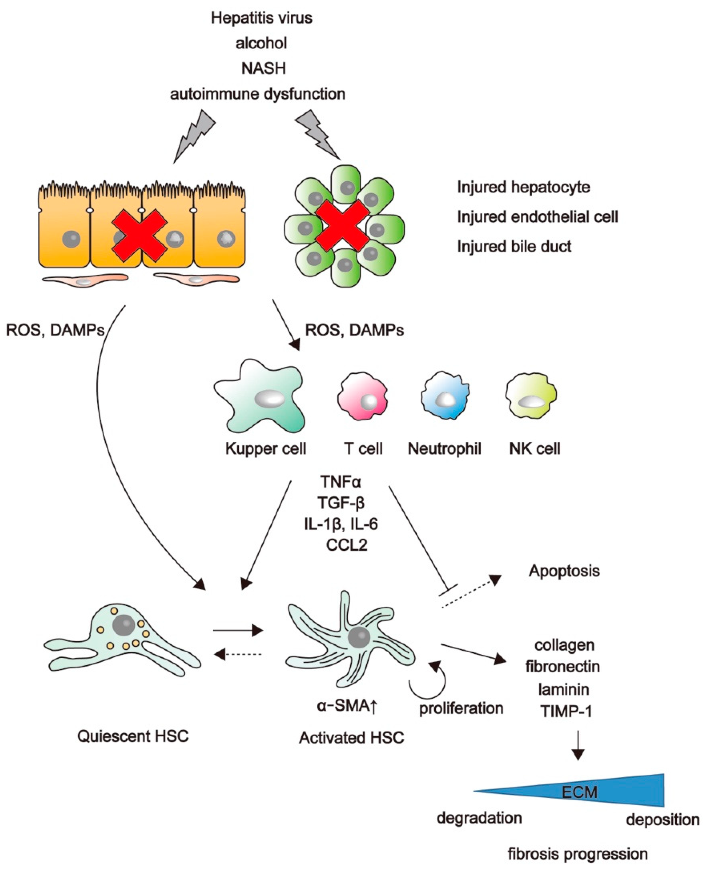 Ijms 19 03103 g001 Ijms 19 03103 g001