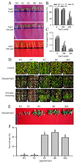 Avoir Images Ijms Free Full Text Overexpression Of A Novel Rop Gene From par