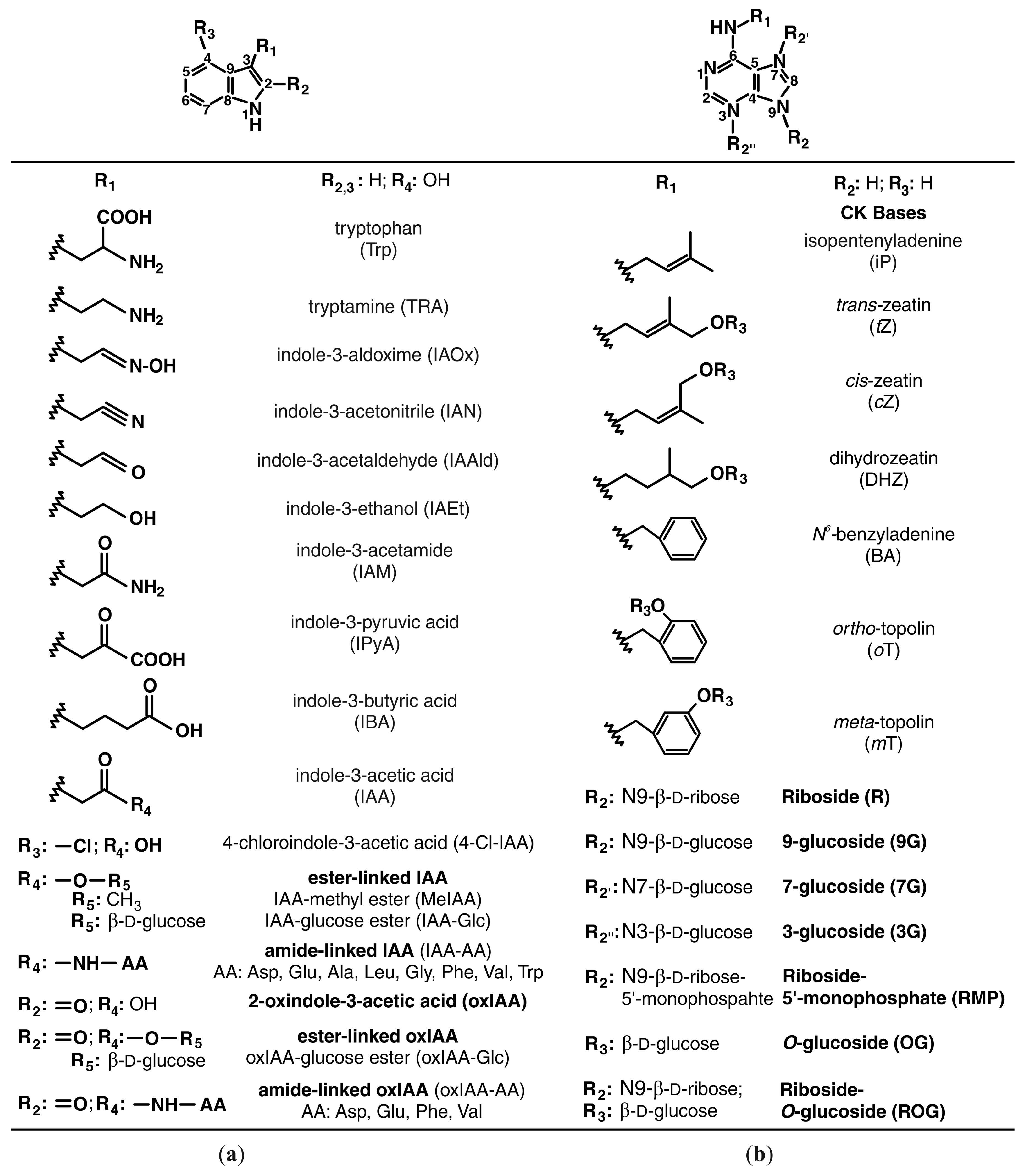 Ijms 19 03115 g0a1 Ijms 19 03115 g0a1