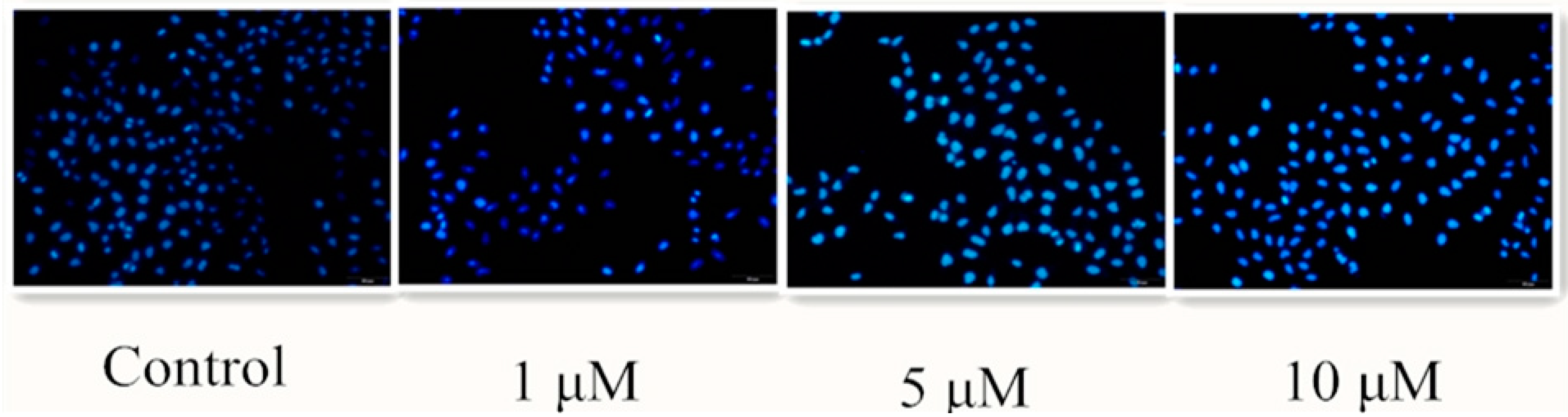 Ijms 19 03116 g003 550