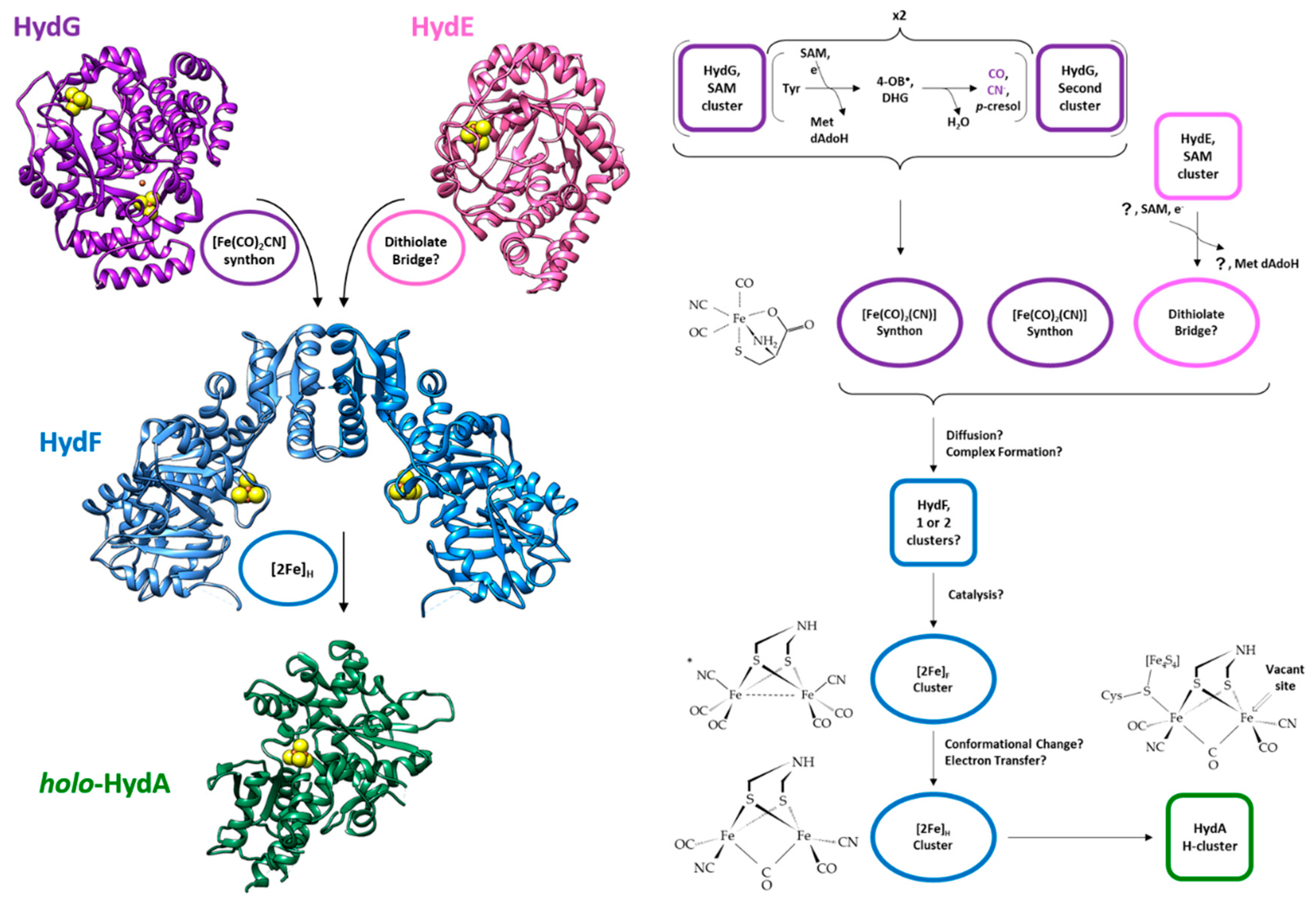 Ijms 19 03118 g001 Ijms 19 03118 g001