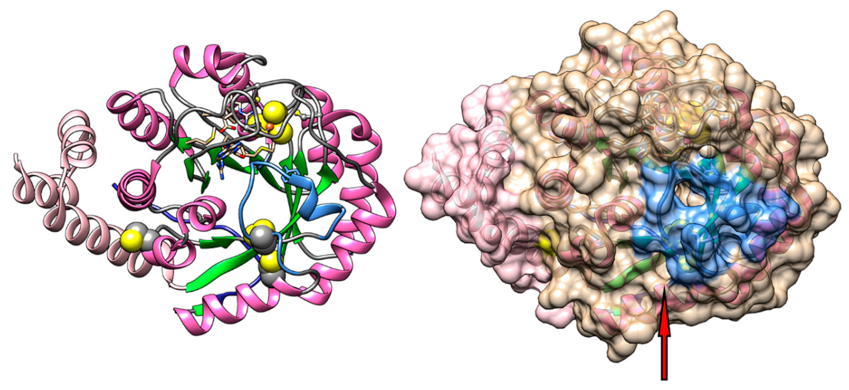 Ijms 19 03118 g002 Ijms 19 03118 g002