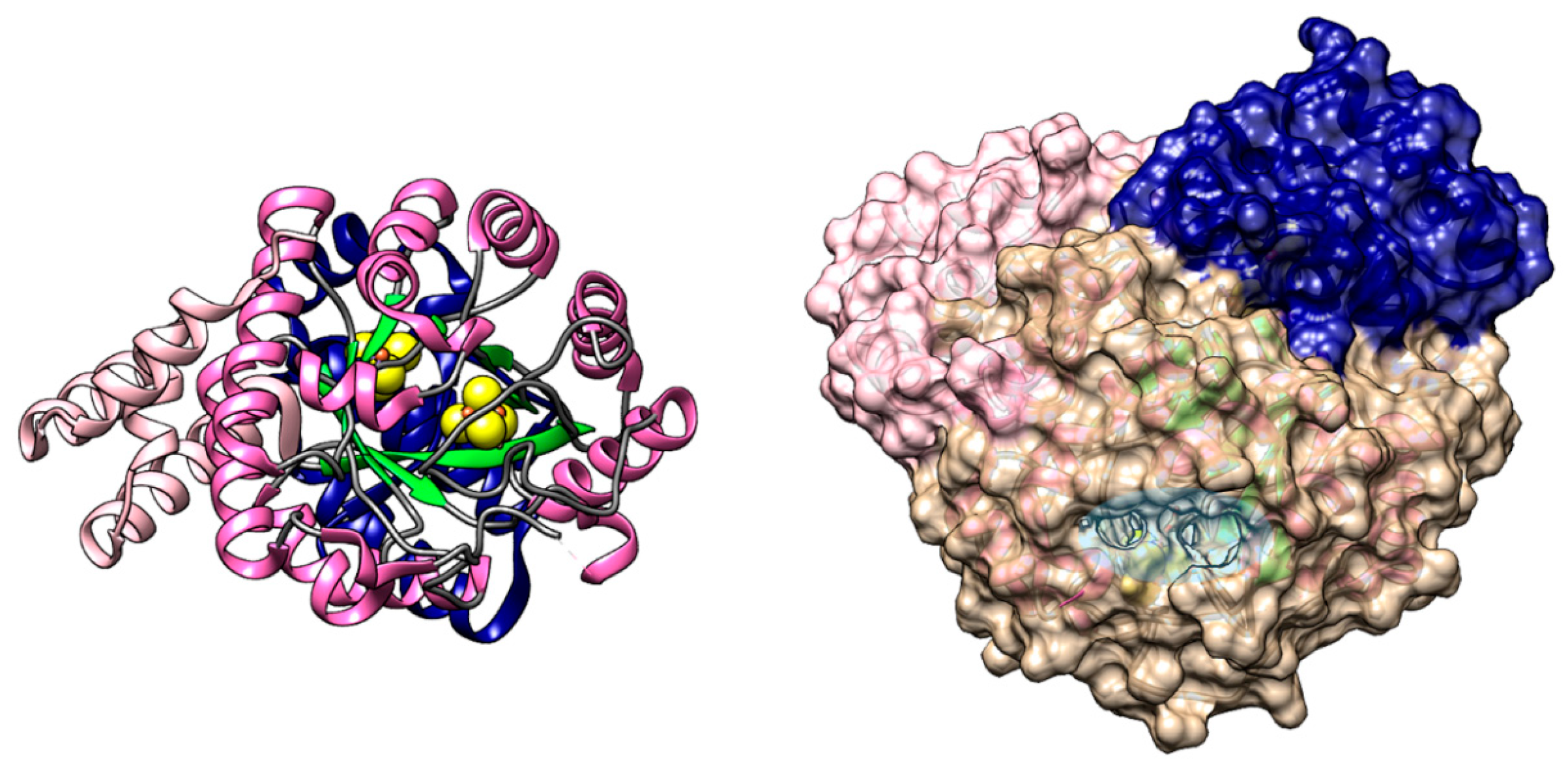 Ijms 19 03118 g003 Ijms 19 03118 g003