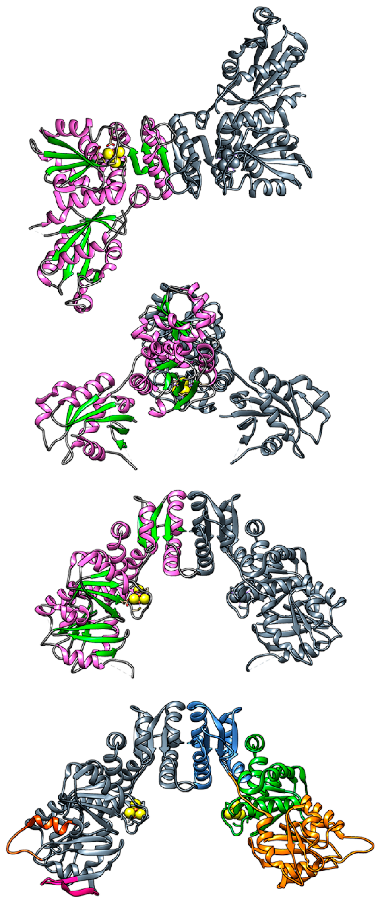 Ijms 19 03118 g004 Ijms 19 03118 g004