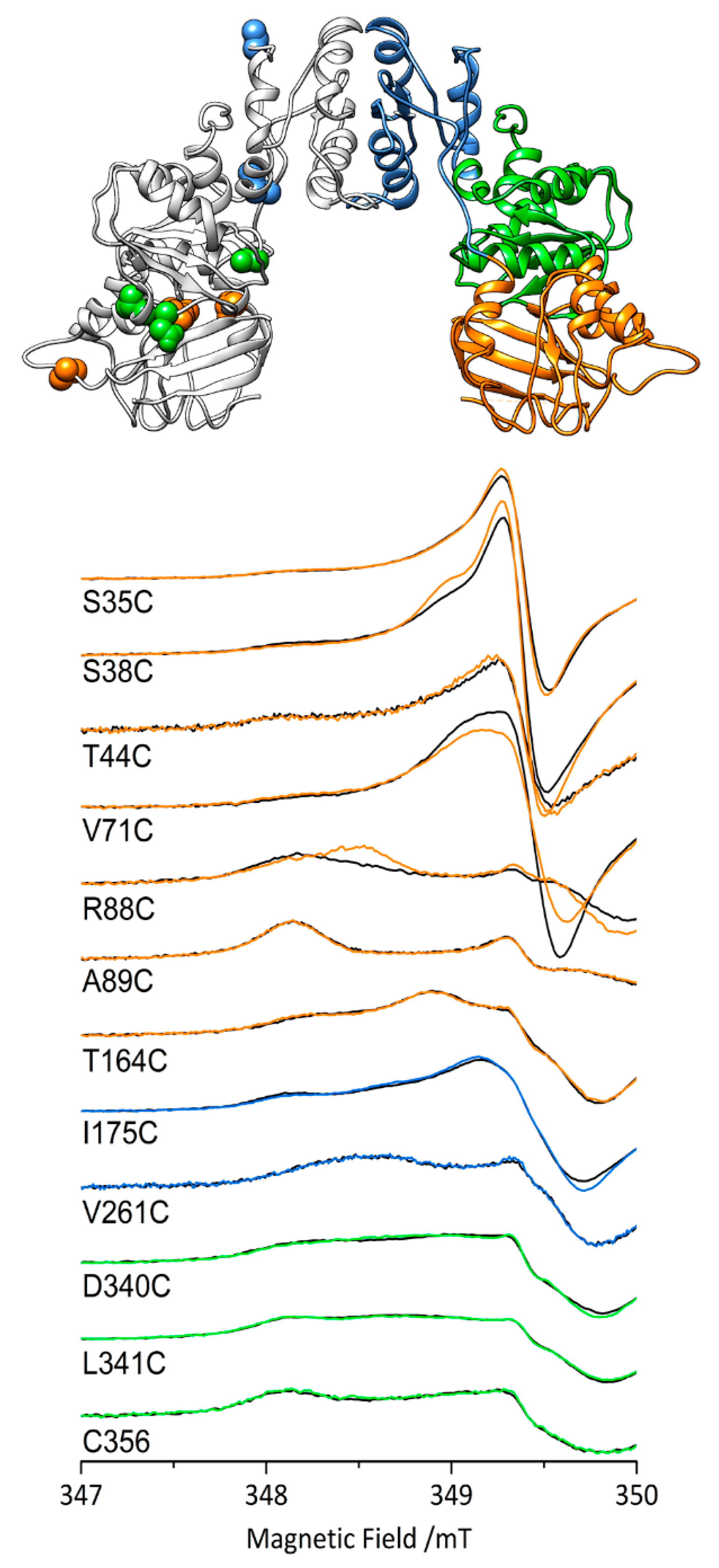 Ijms 19 03118 g005 Ijms 19 03118 g005