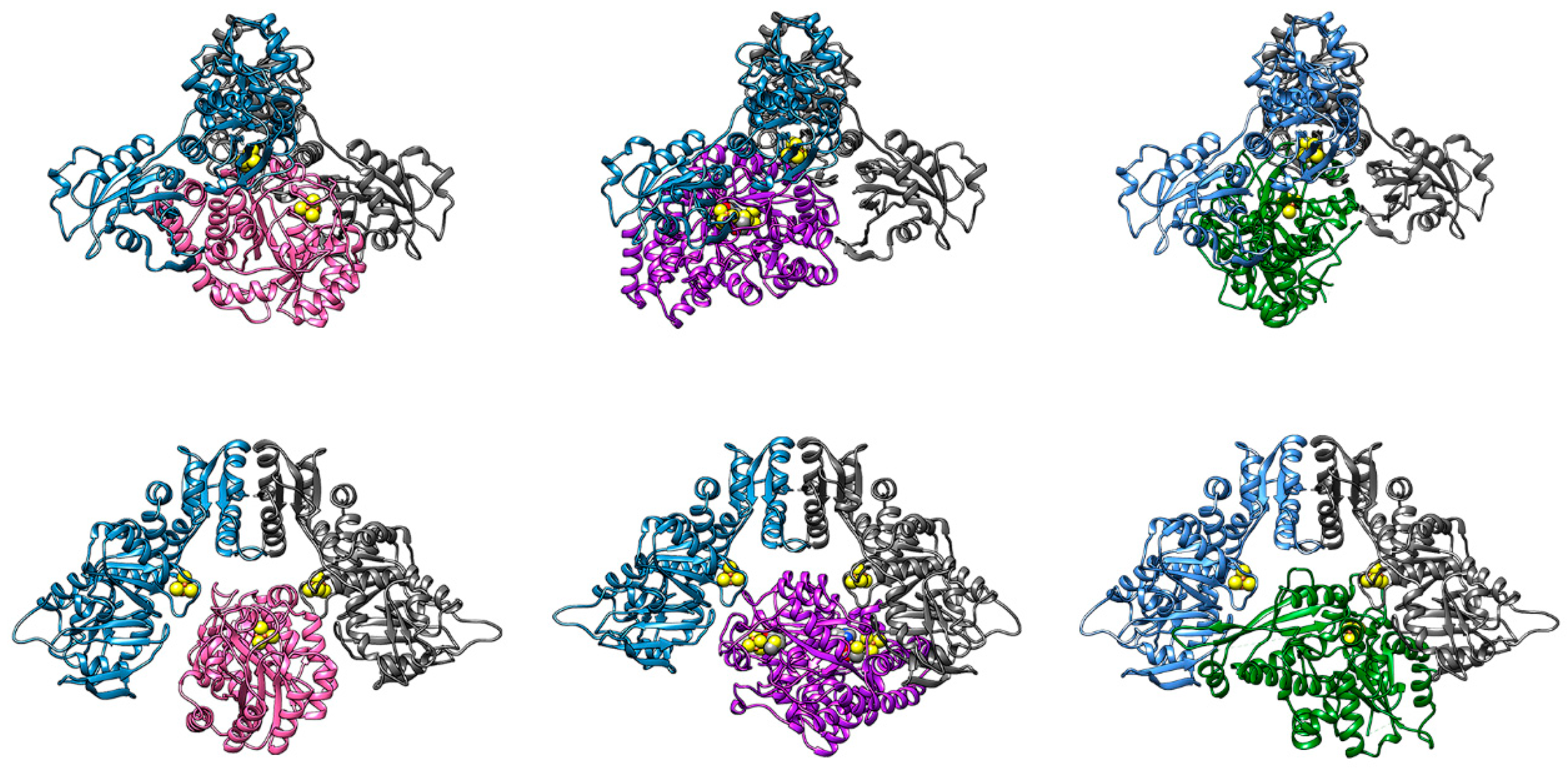 Ijms 19 03118 g006 Ijms 19 03118 g006