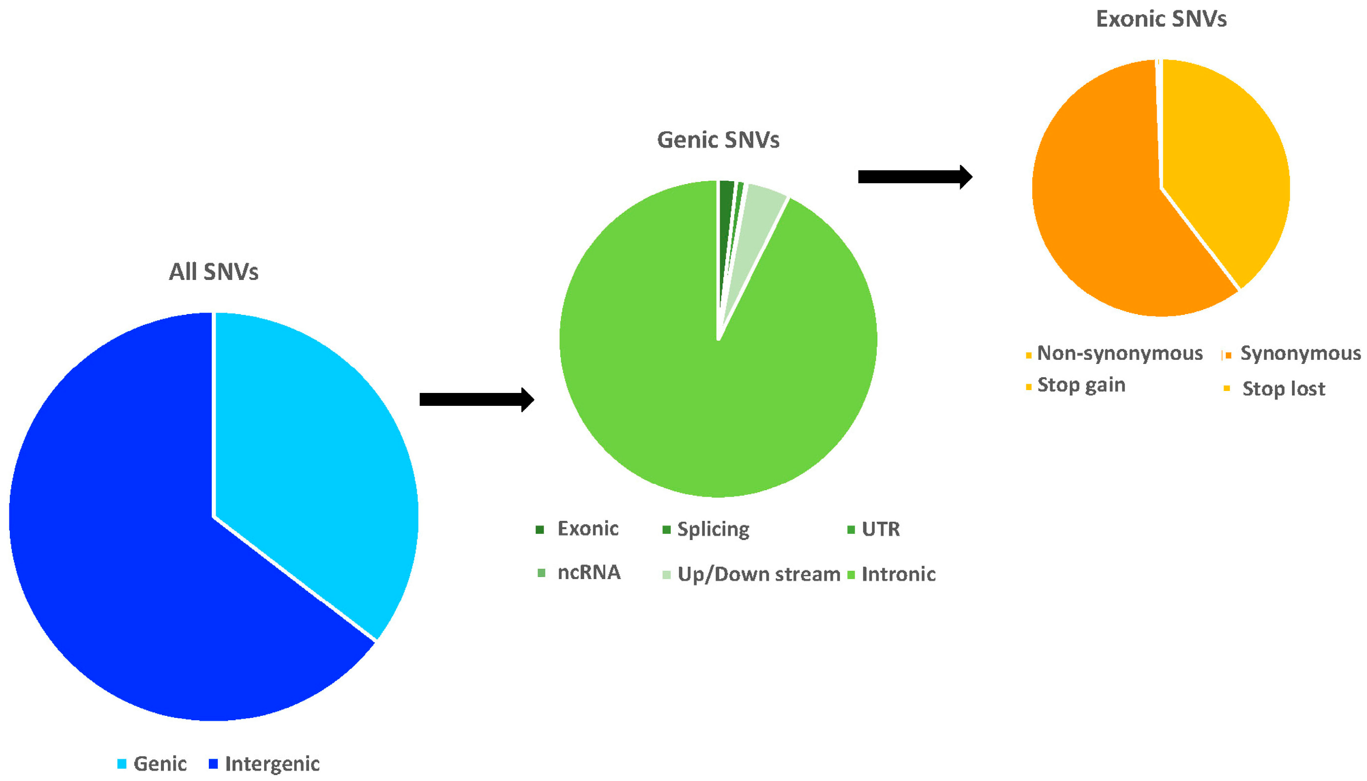 Ijms 19 03123 g002 Ijms 19 03123 g002