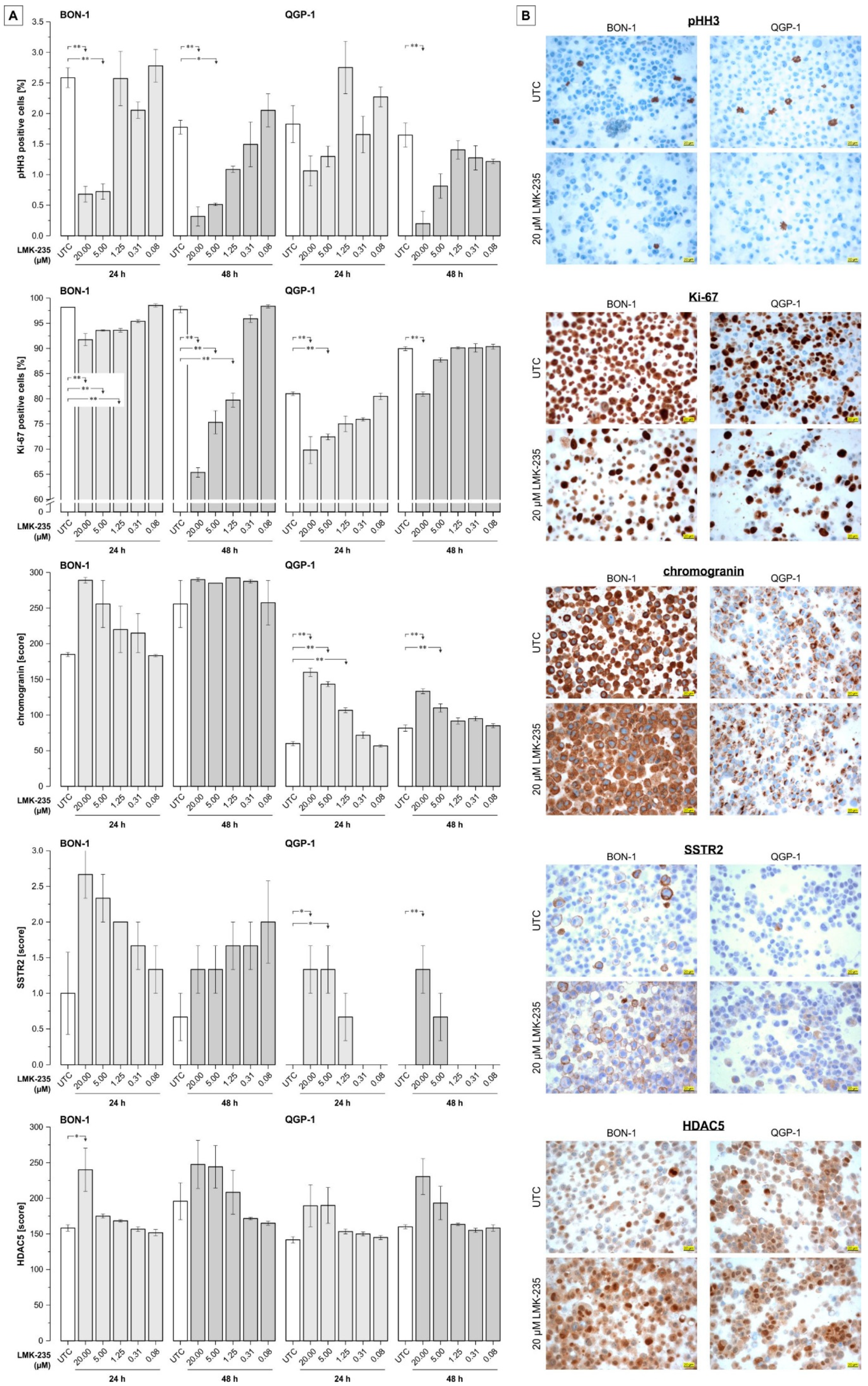 Ijms 19 03128 g005 Ijms 19 03128 g005