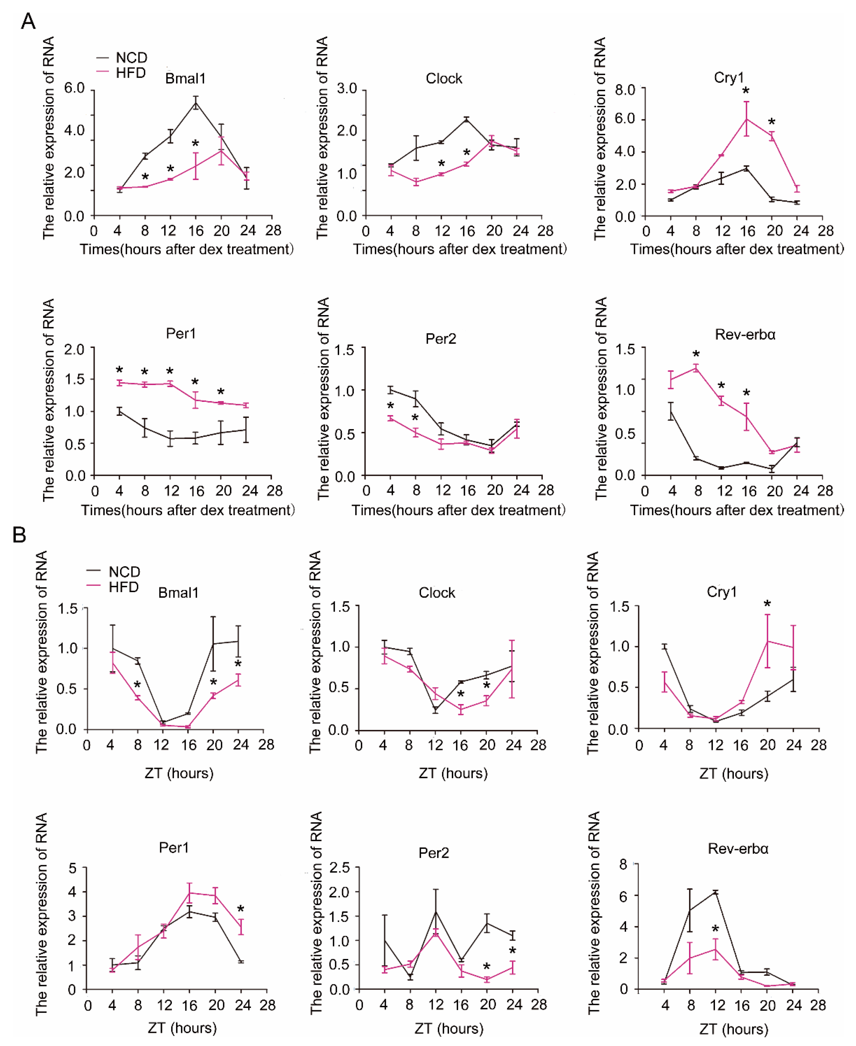 Ijms 19 03134 g002 Ijms 19 03134 g002