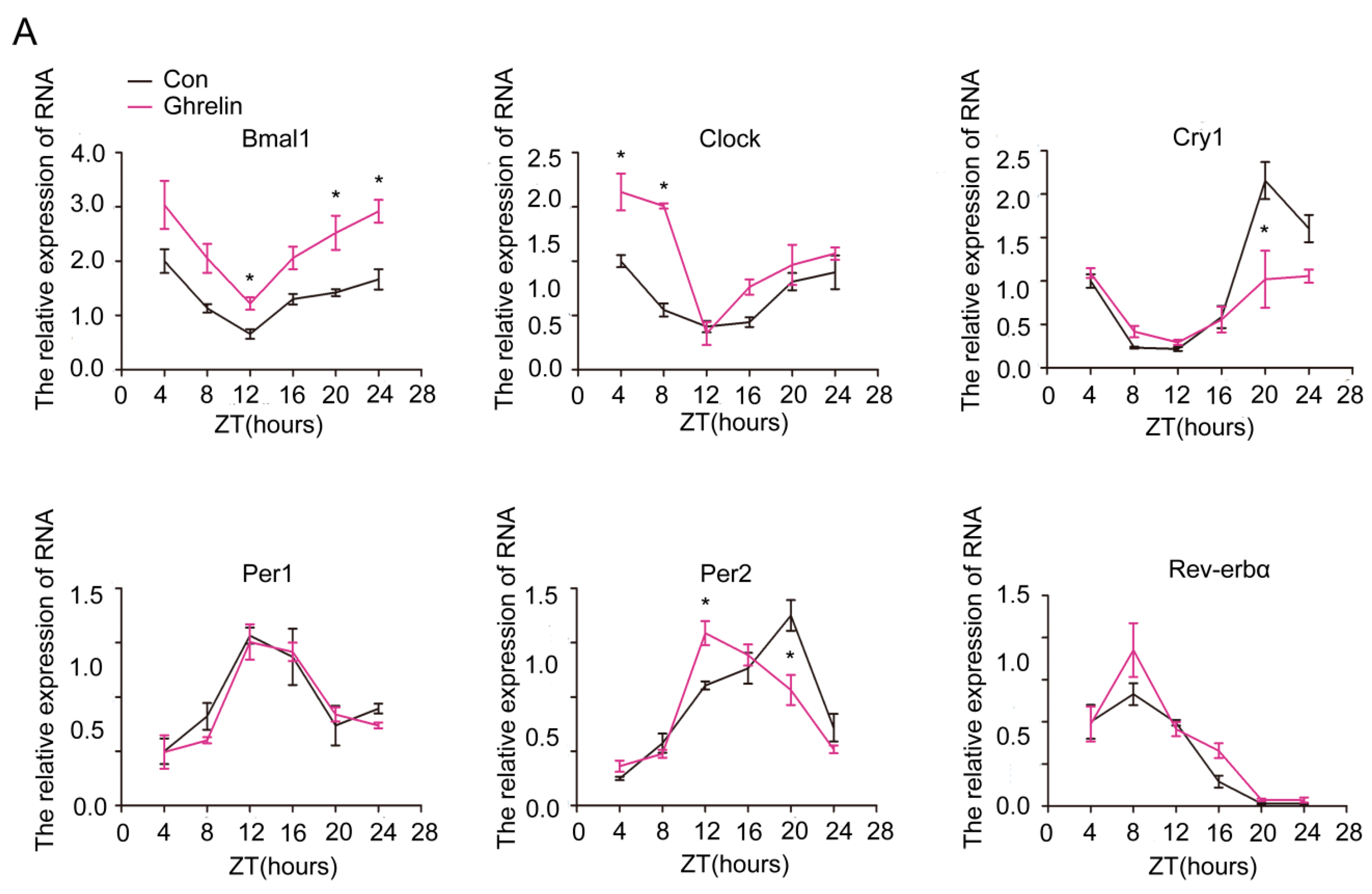 Ijms 19 03134 g004a Ijms 19 03134 g004a