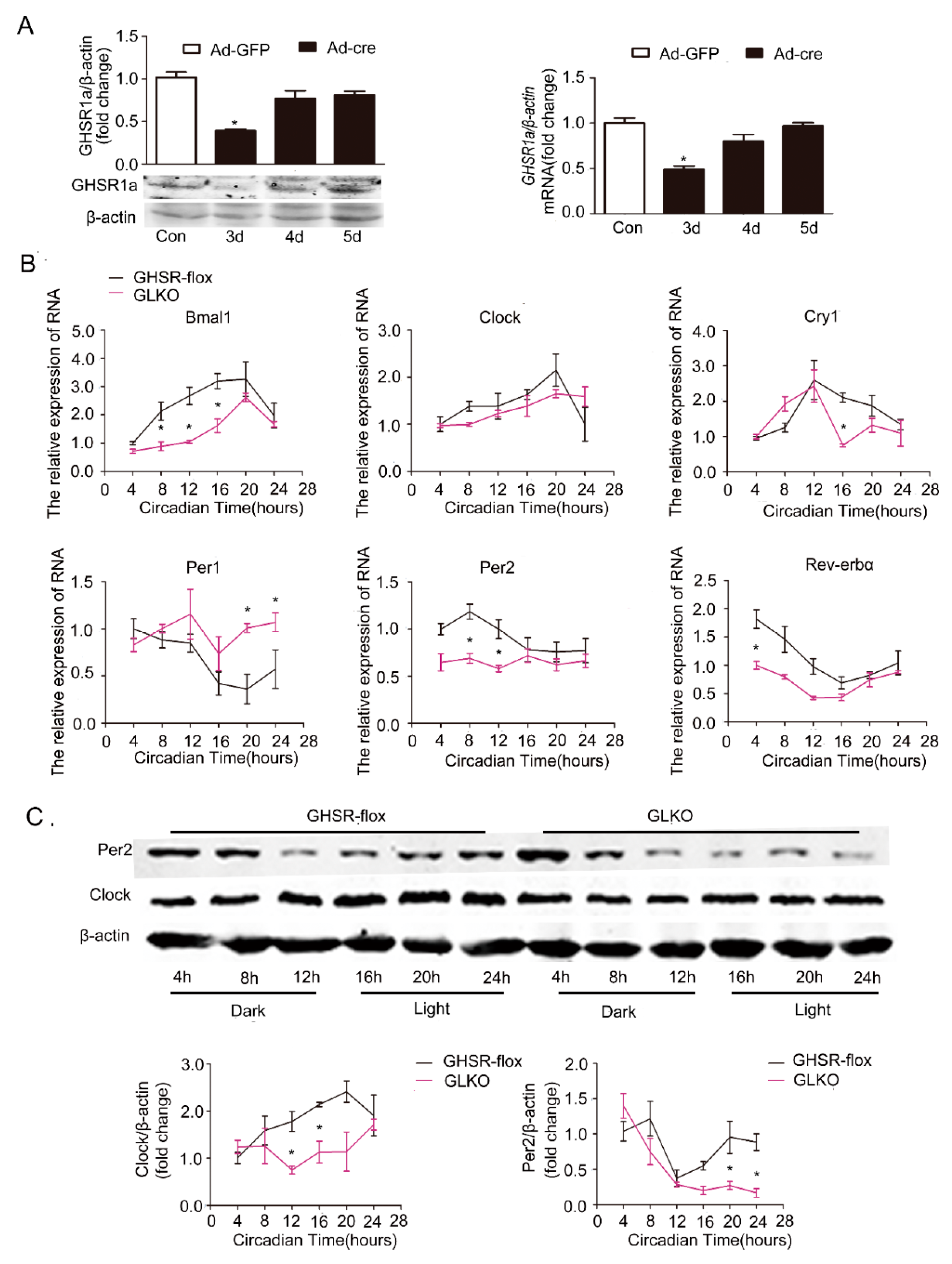 Ijms 19 03134 g005 Ijms 19 03134 g005