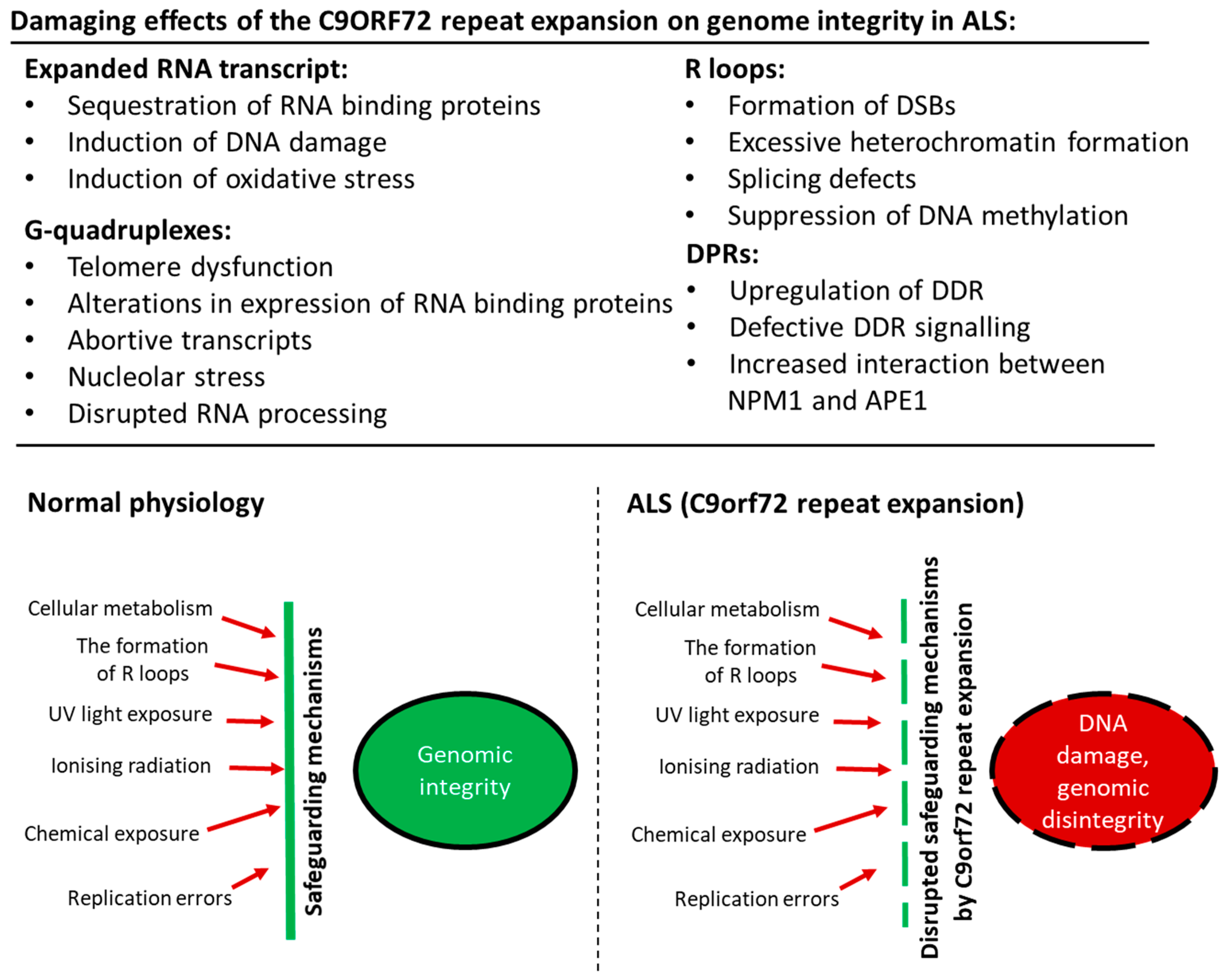 The Emerging Role of DNA Damage in the Pathogenesis of the