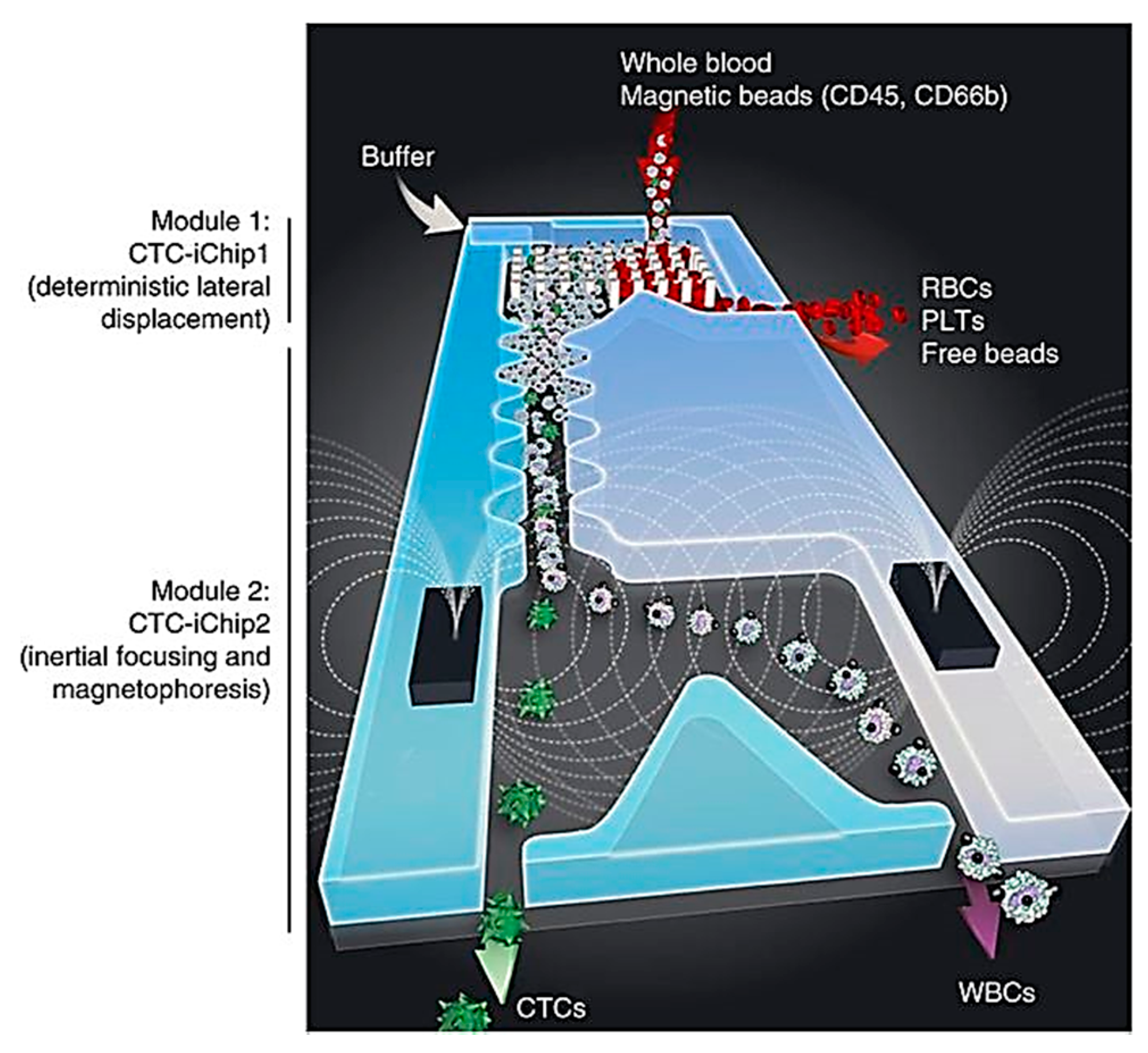 Ijms 19 03143 g003 Ijms 19 03143 g003