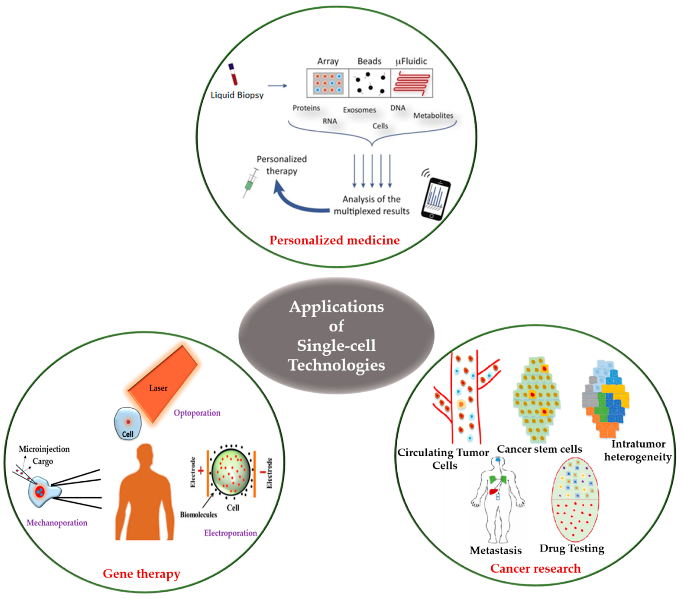 Ijms 19 03143 g033 Ijms 19 03143 g033