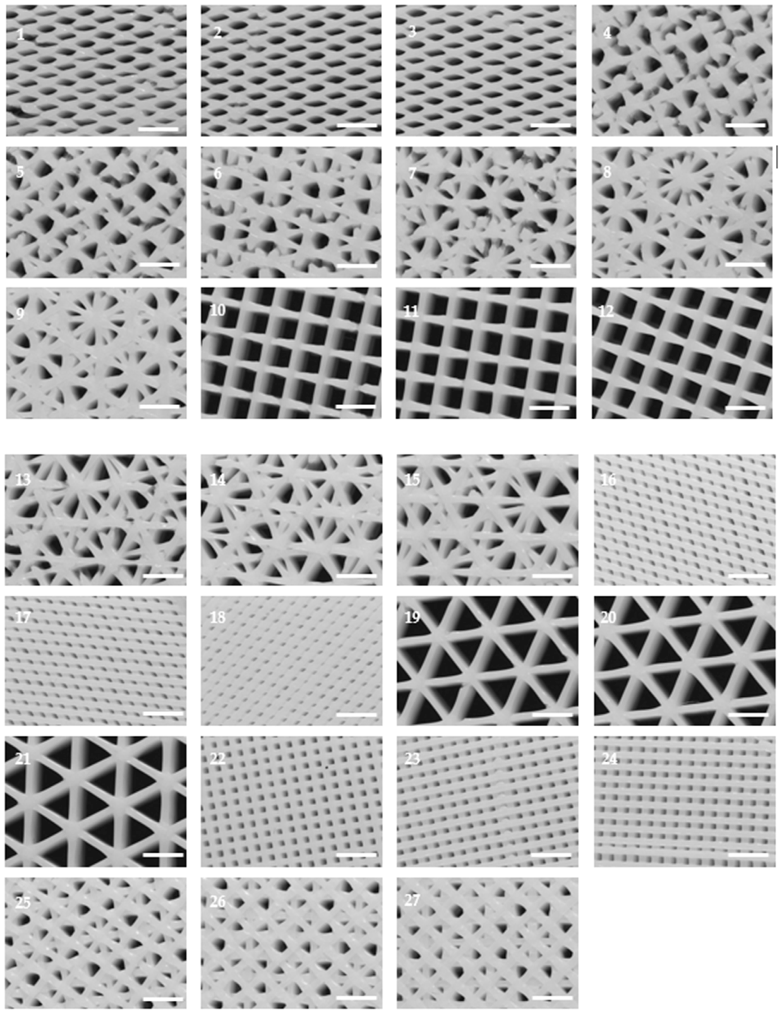 Ijms  Free Full-Text  Screening Of Additive Manufactured Scaffolds Designs For 