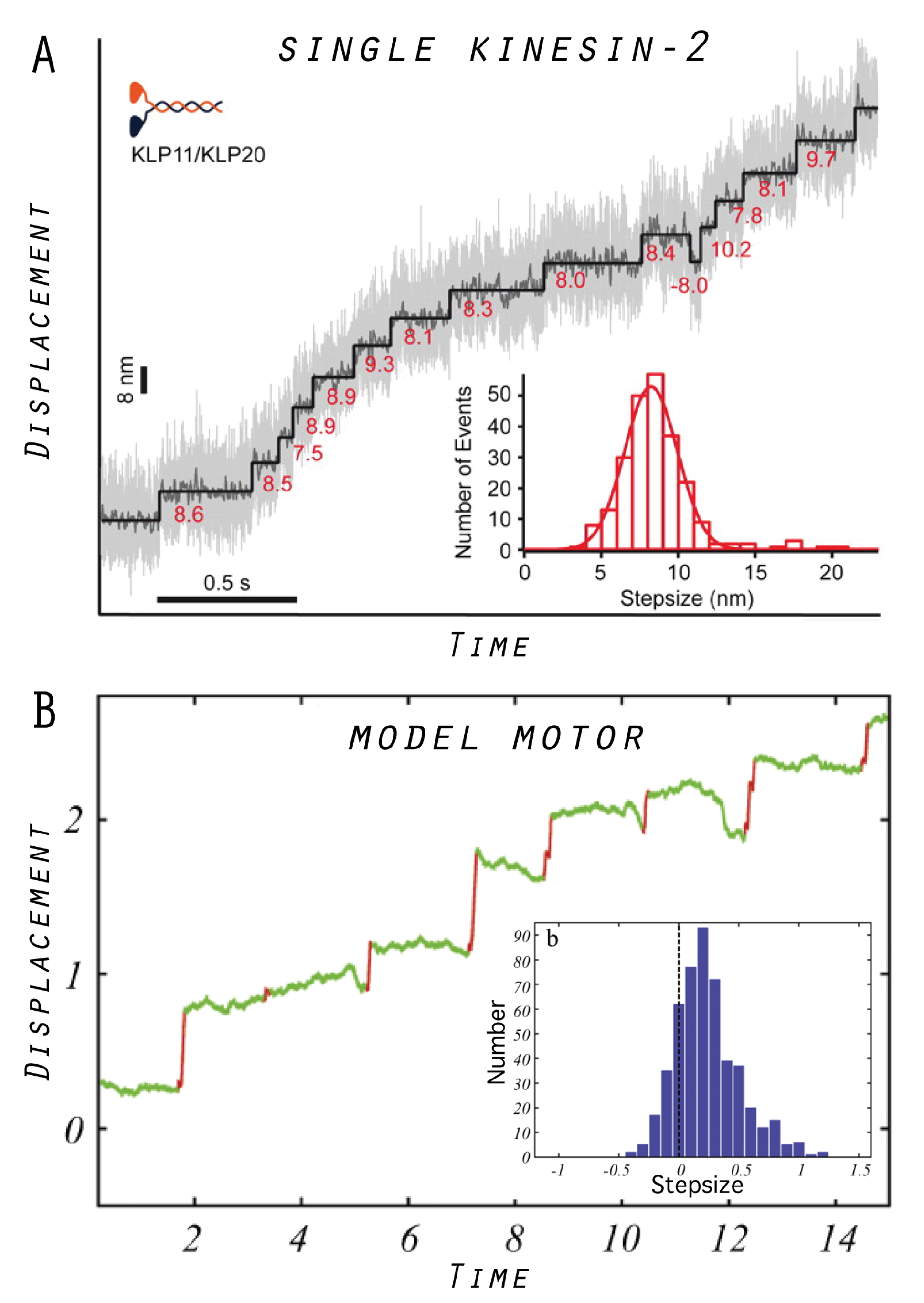Ijms 19 03152 g004 Ijms 19 03152 g004