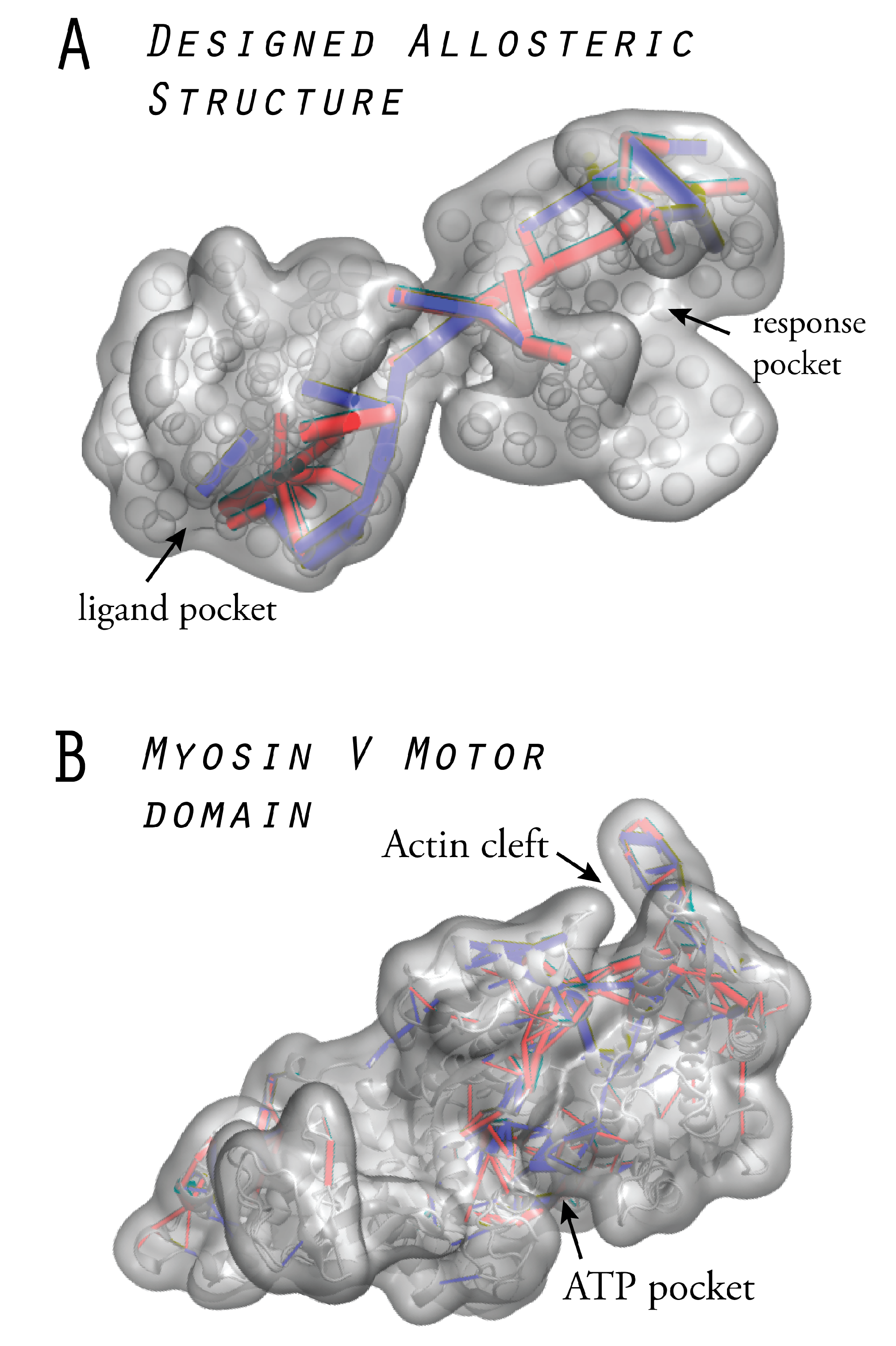 Ijms 19 03152 g006 Ijms 19 03152 g006