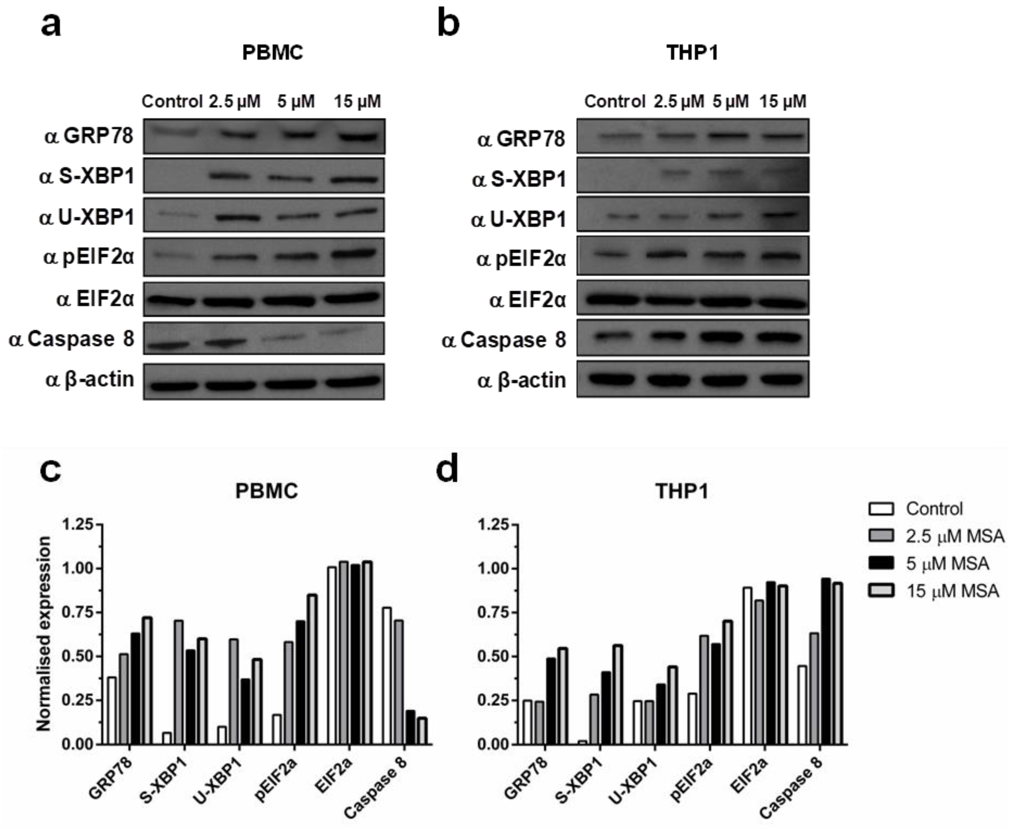Ijms 19 03167 g001 Ijms 19 03167 g001