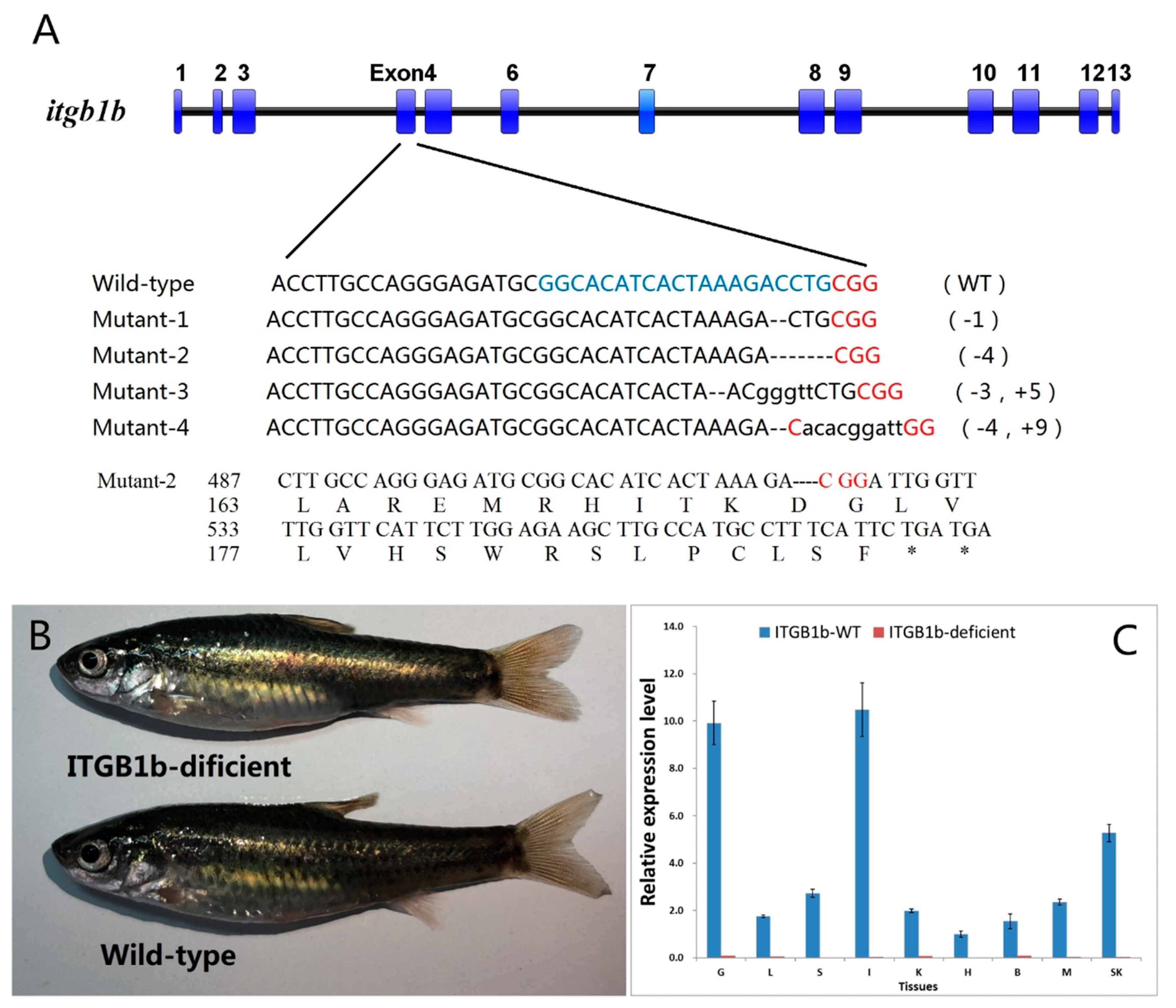 Ijms 19 03175 g002 Ijms 19 03175 g002