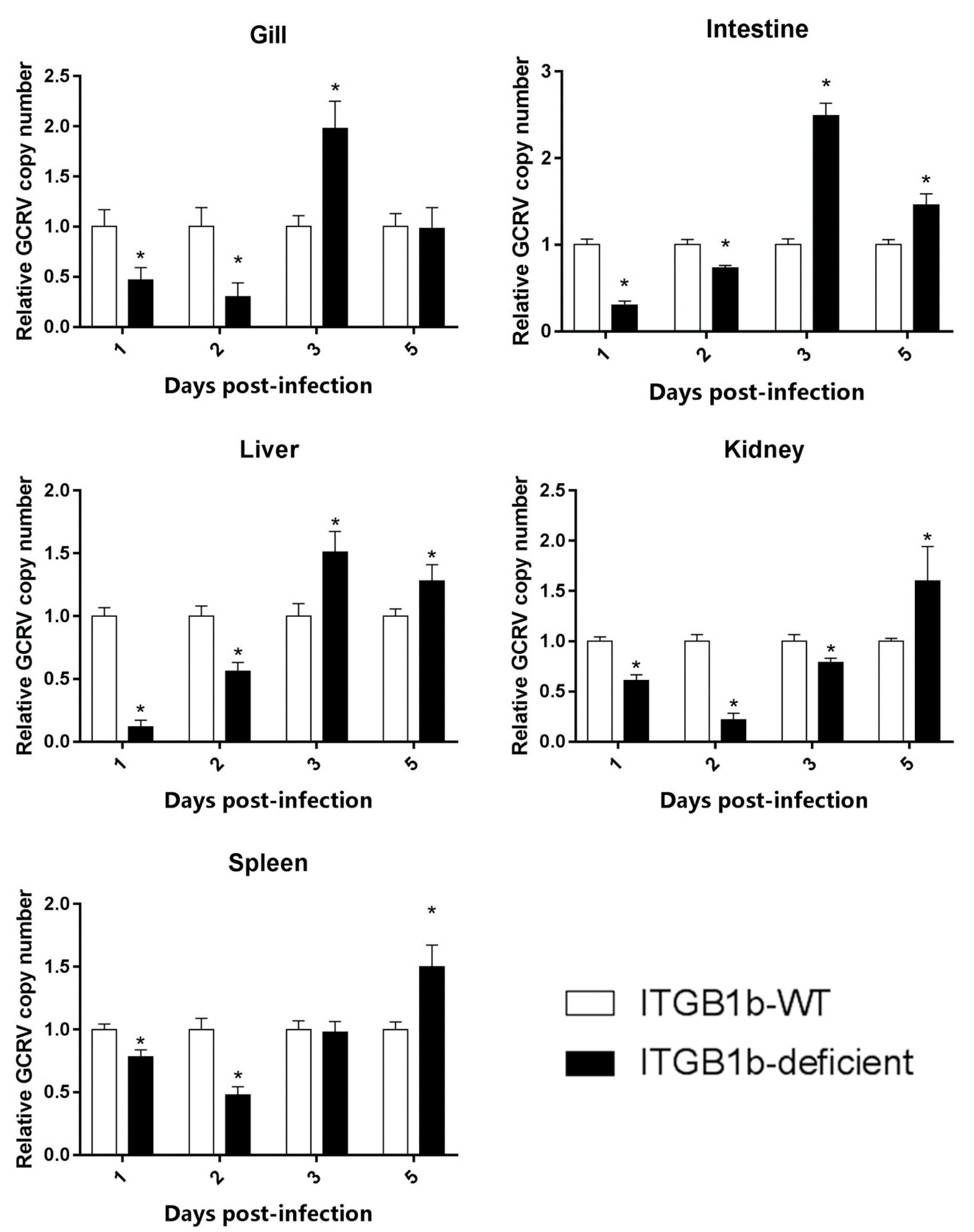 Ijms 19 03175 g004 Ijms 19 03175 g004