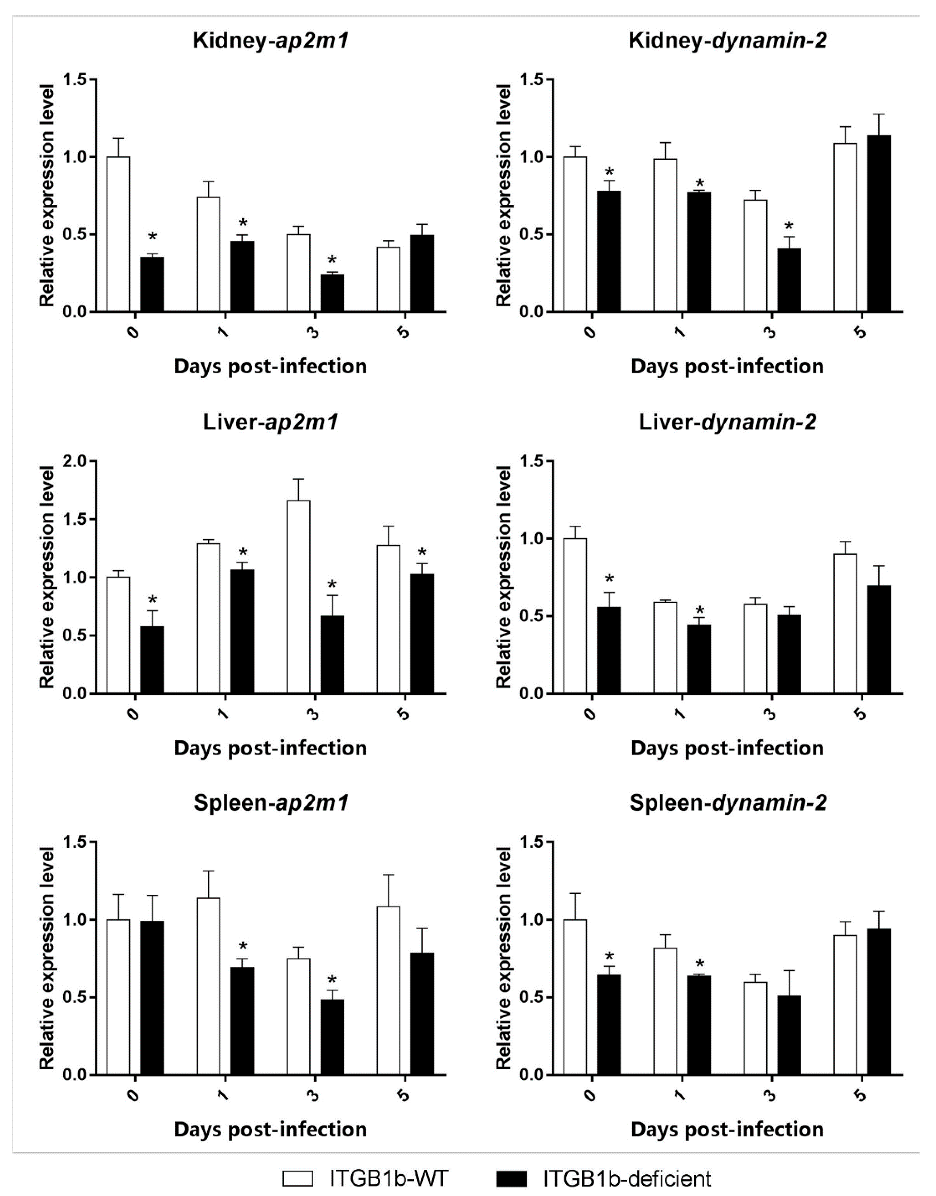 Ijms 19 03175 g005 Ijms 19 03175 g005