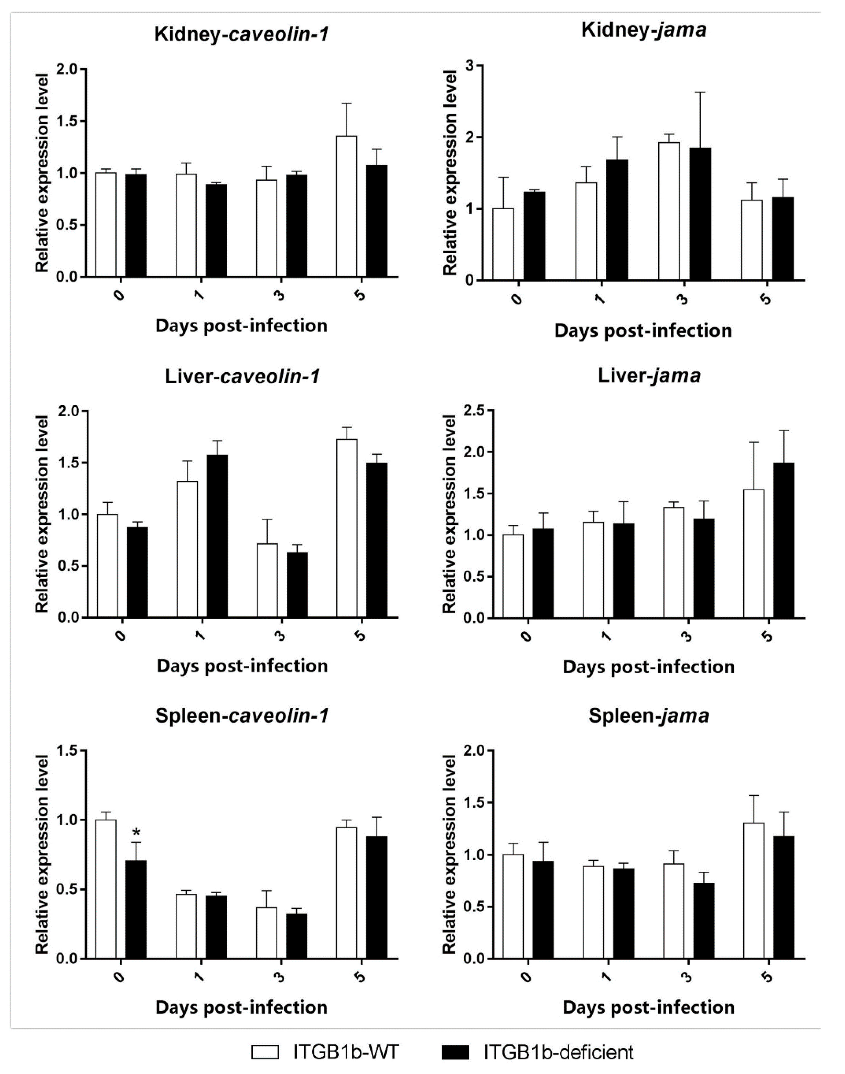Ijms 19 03175 g006 Ijms 19 03175 g006