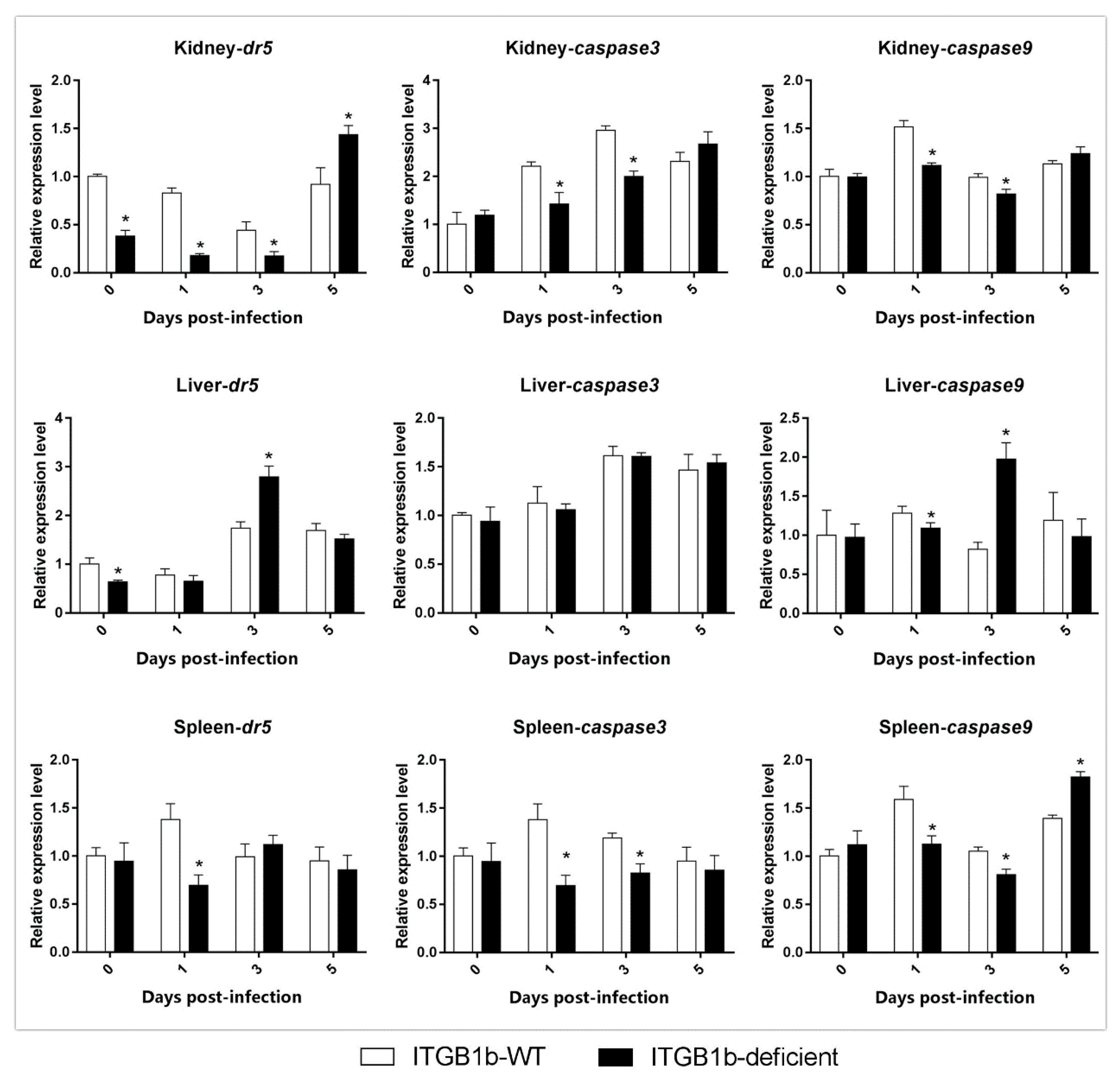 Ijms 19 03175 g007 Ijms 19 03175 g007