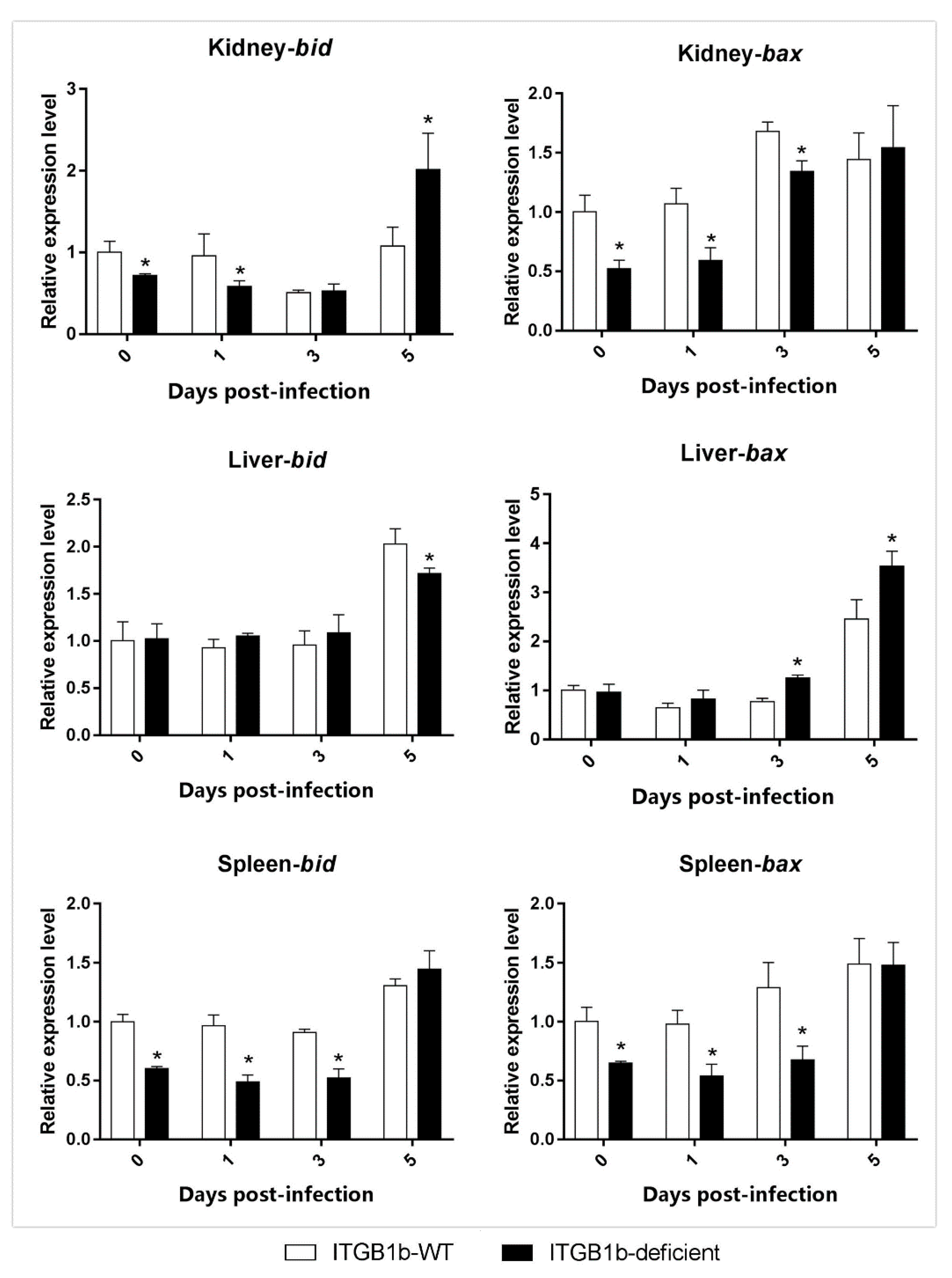 Ijms 19 03175 g008 Ijms 19 03175 g008