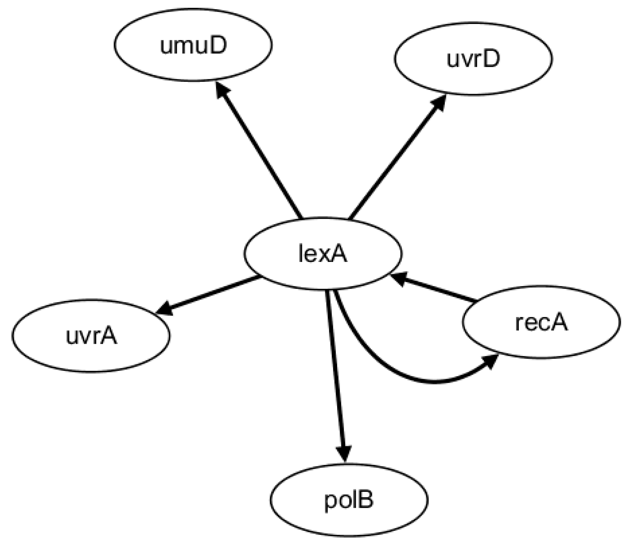 Ijms 19 03178 g003 Ijms 19 03178 g003