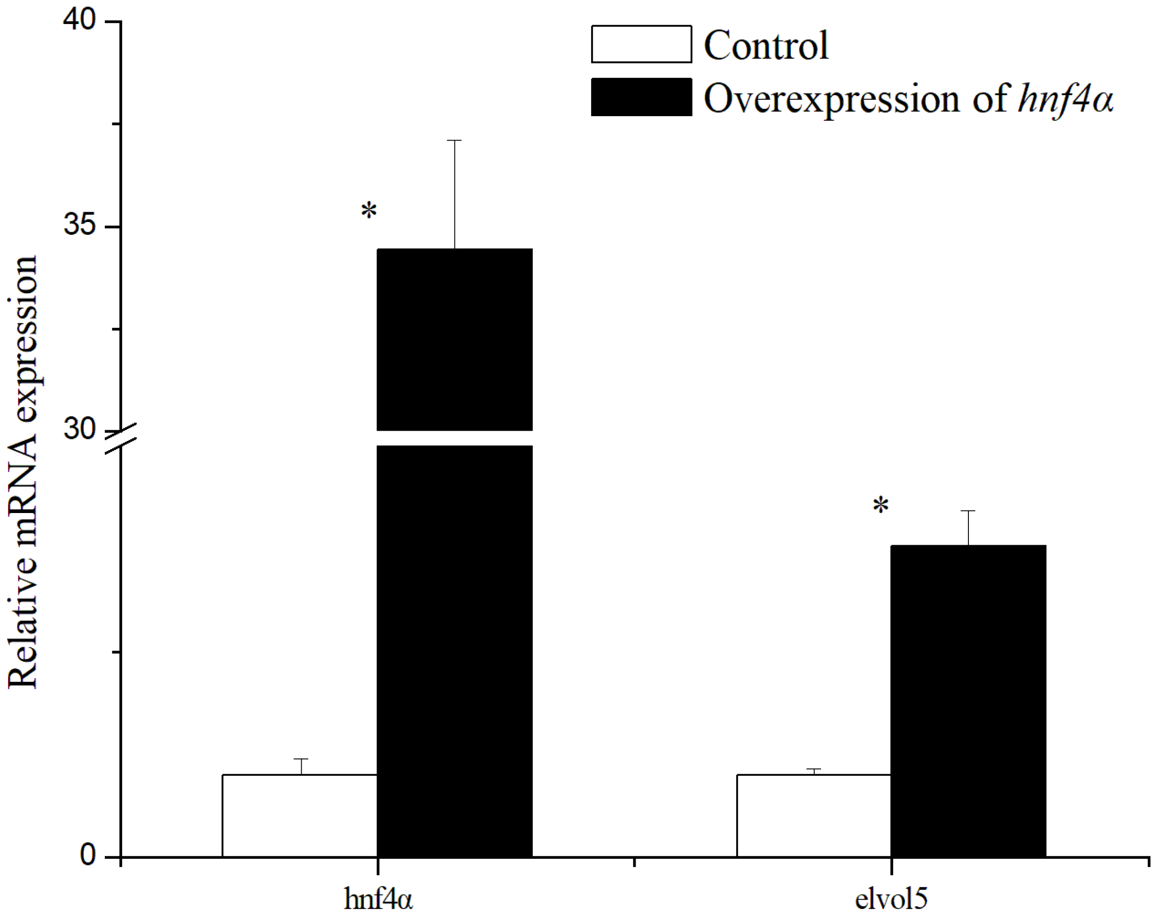 Ijms 19 03193 g005 Ijms 19 03193 g005