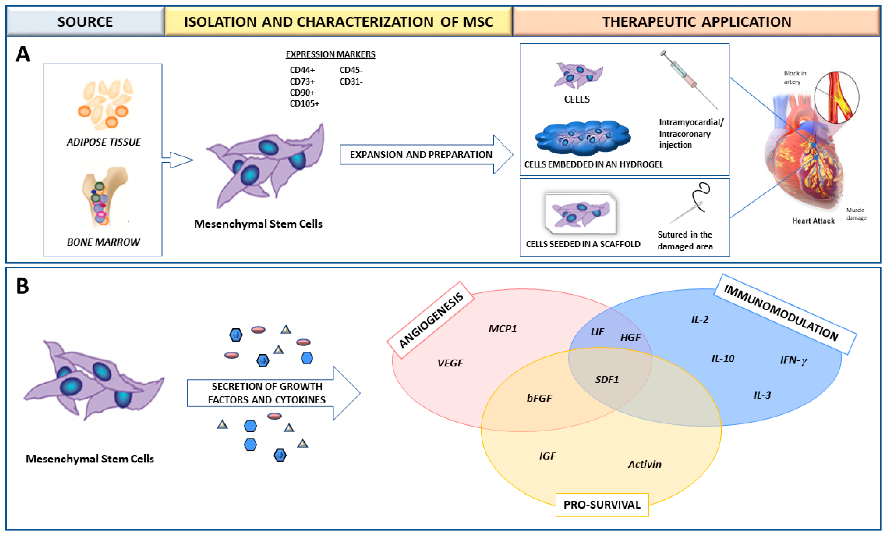 Ijms 19 03236 g001 Ijms 19 03236 g001