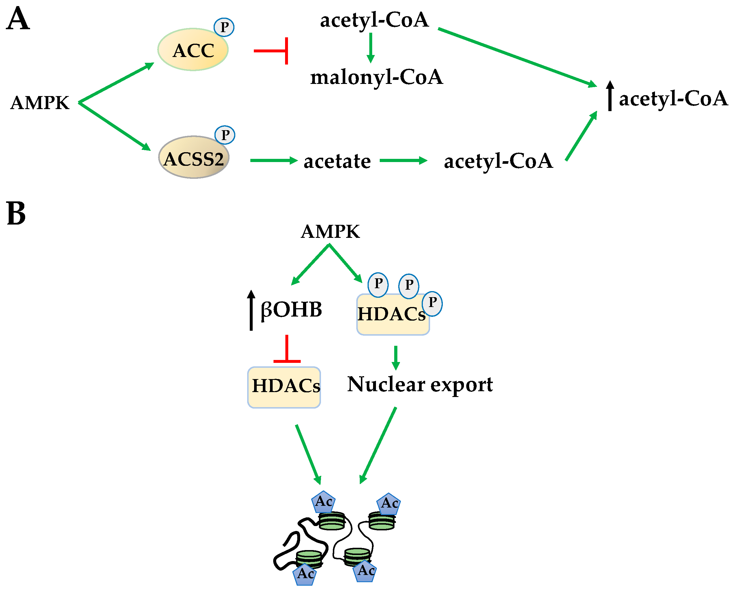 Ijms 19 03238 g002 Ijms 19 03238 g002