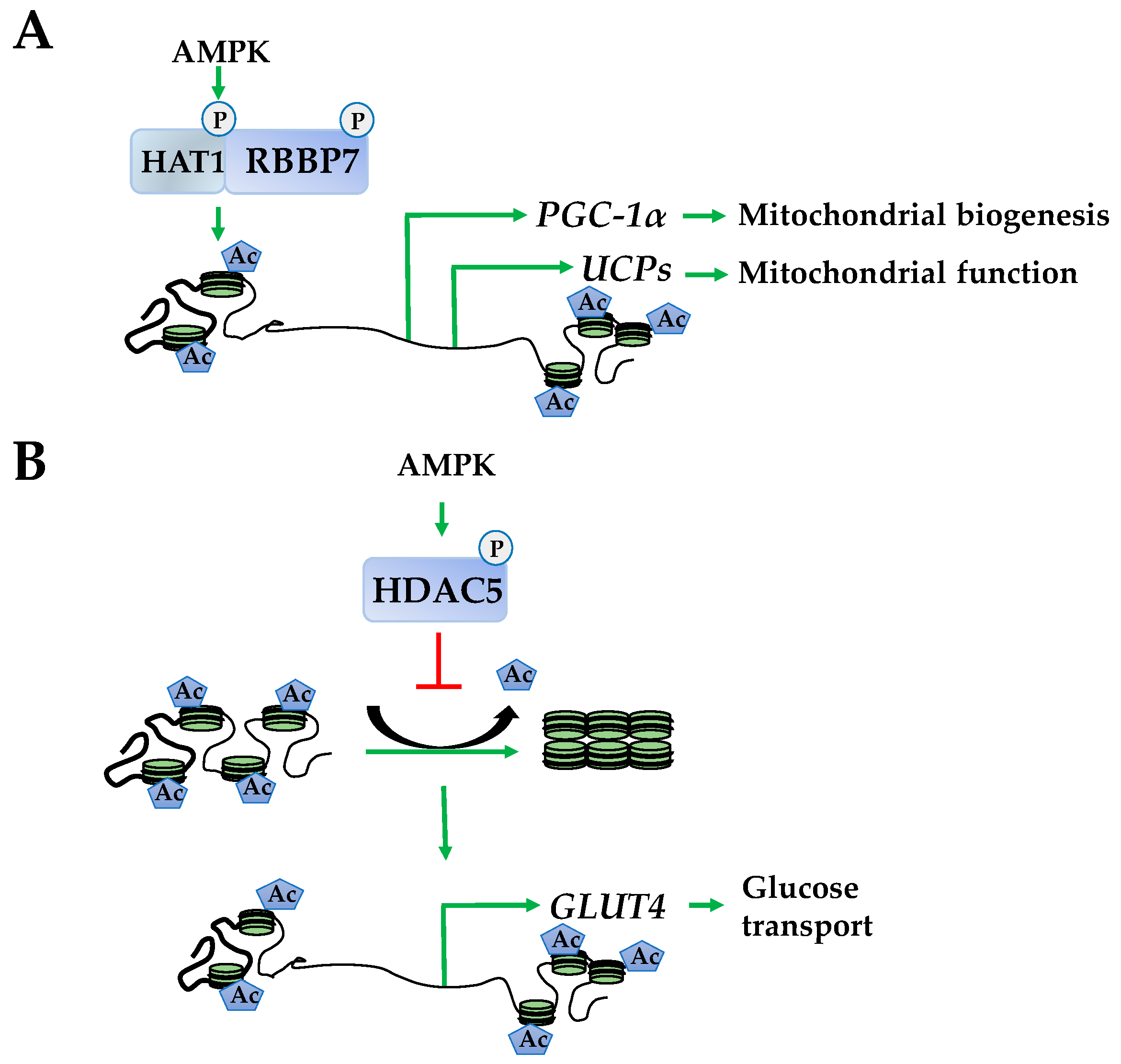 Ijms 19 03238 g003 Ijms 19 03238 g003