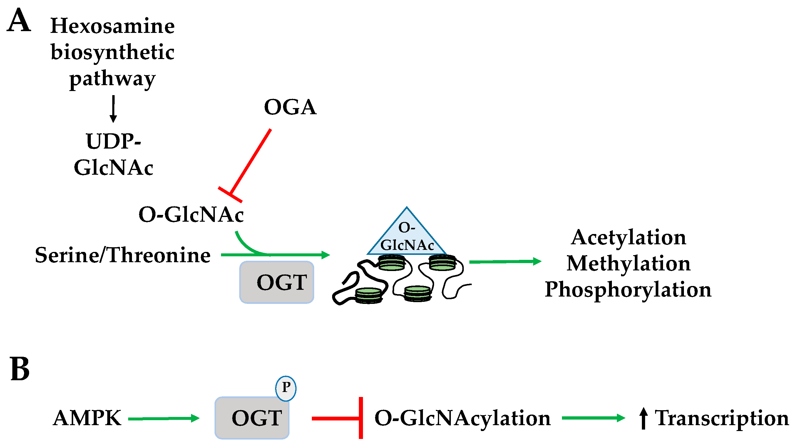 Ijms 19 03238 g005 Ijms 19 03238 g005