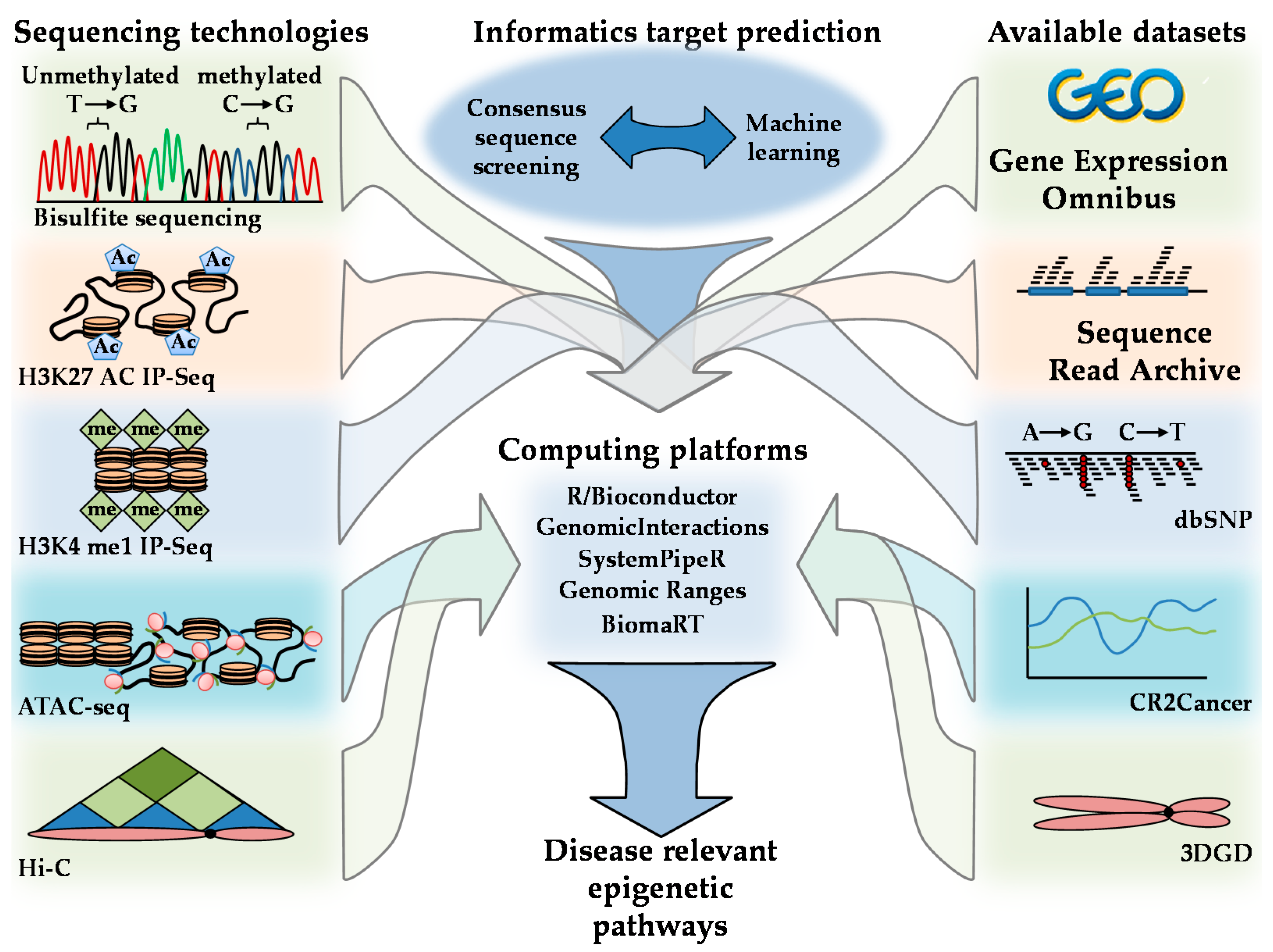 Ijms 19 03238 g007 Ijms 19 03238 g007