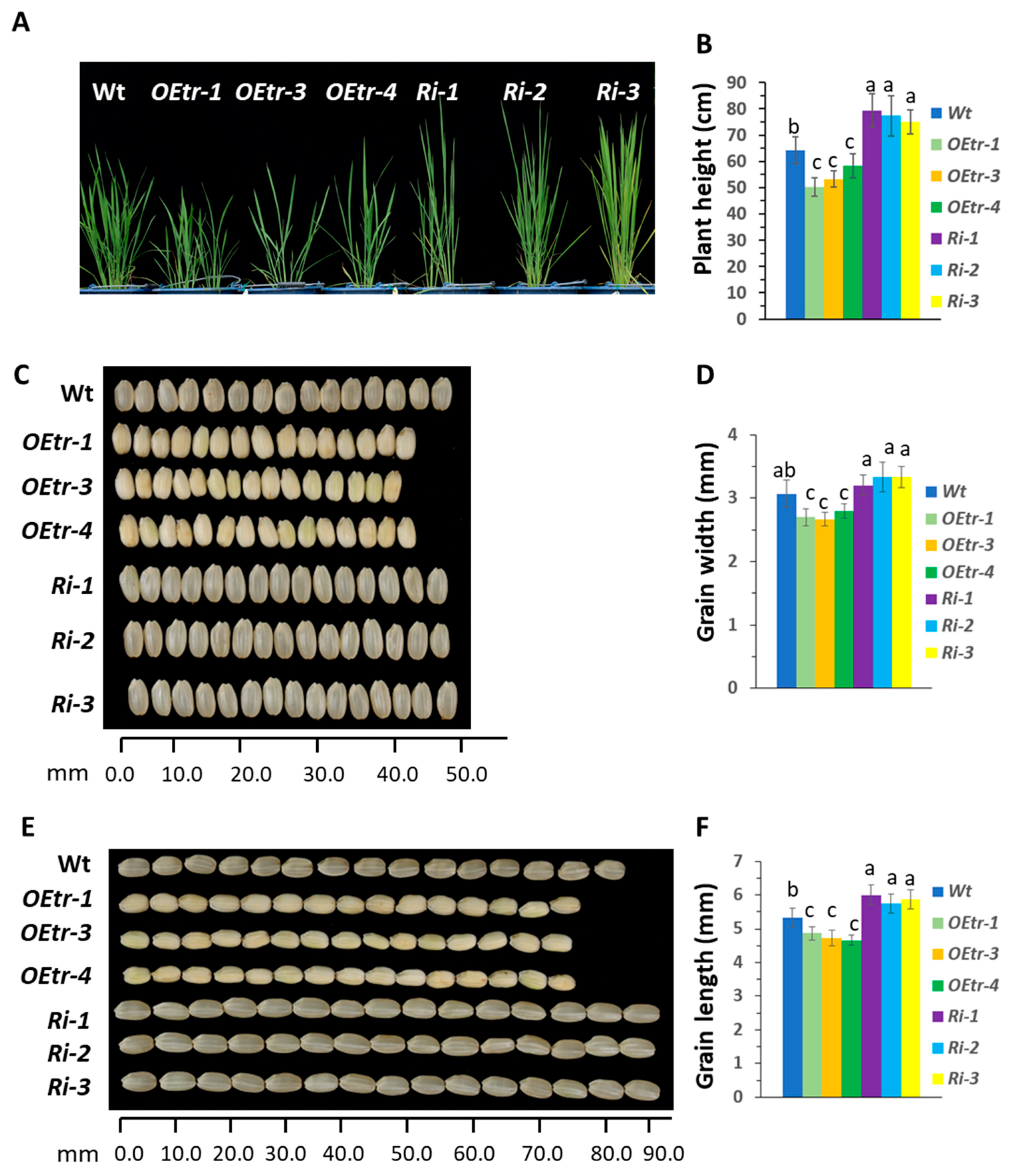 Ijms 19 03247 g001 Ijms 19 03247 g001