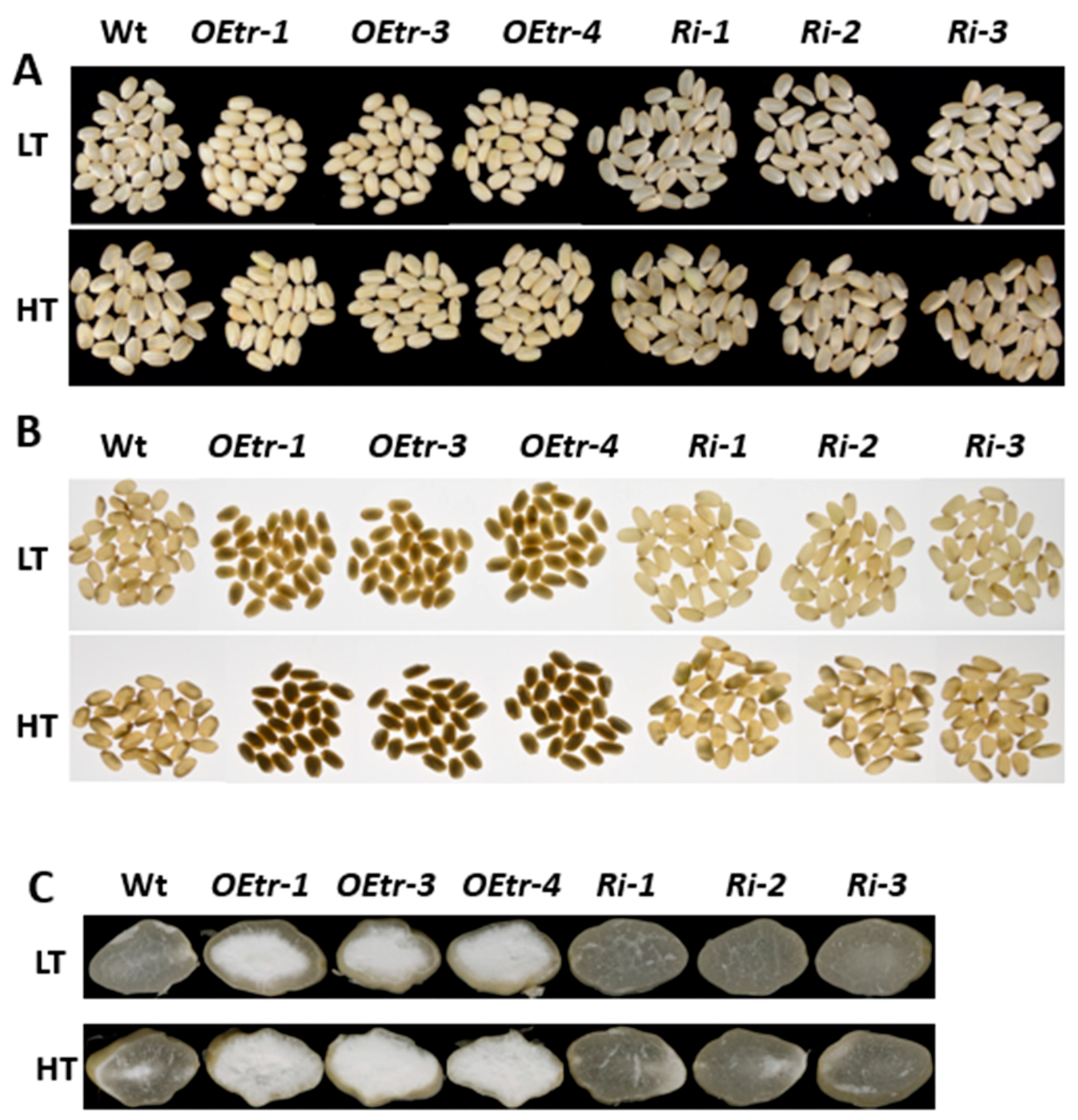 Ijms 19 03247 g002 Ijms 19 03247 g002