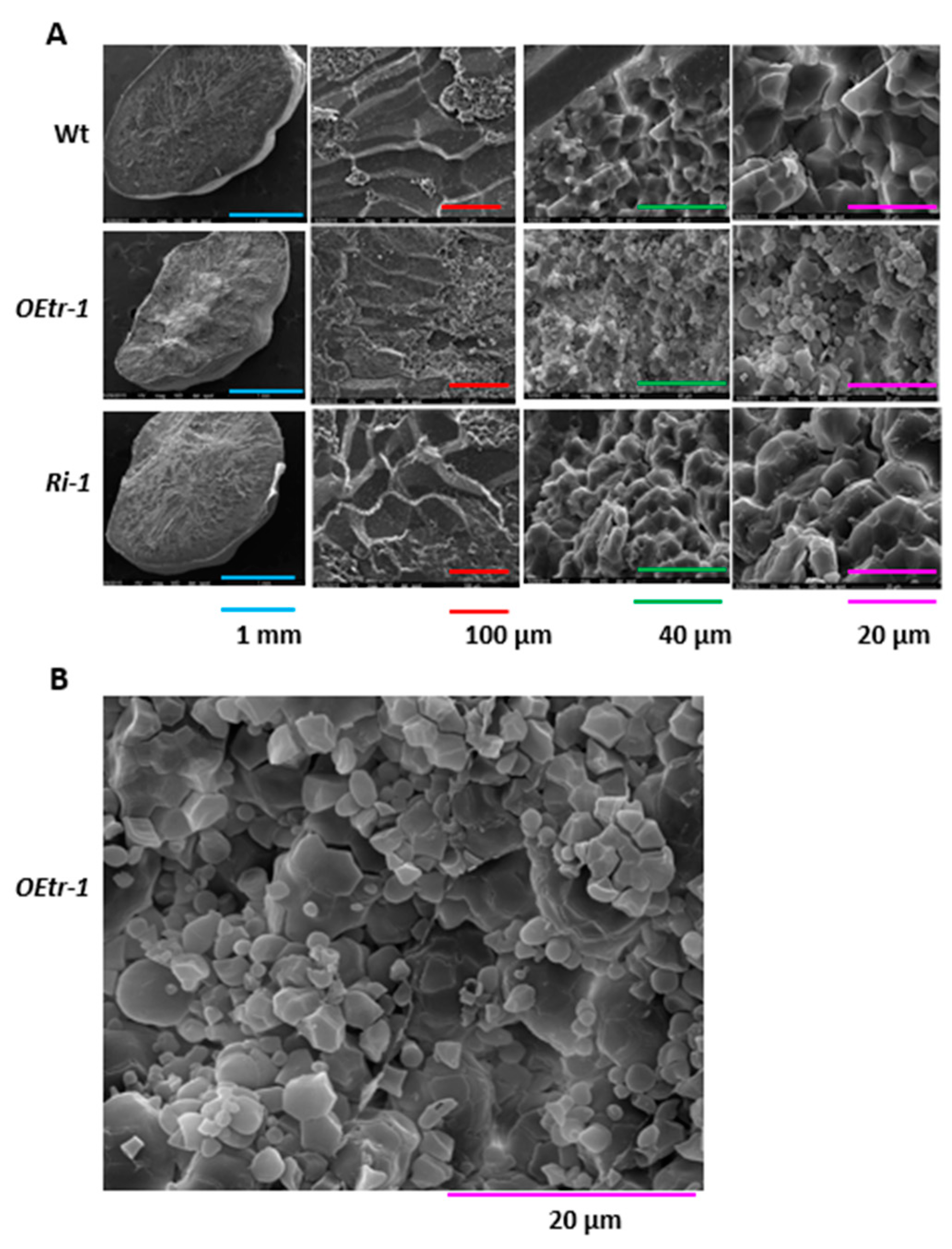 Ijms 19 03247 g003 Ijms 19 03247 g003