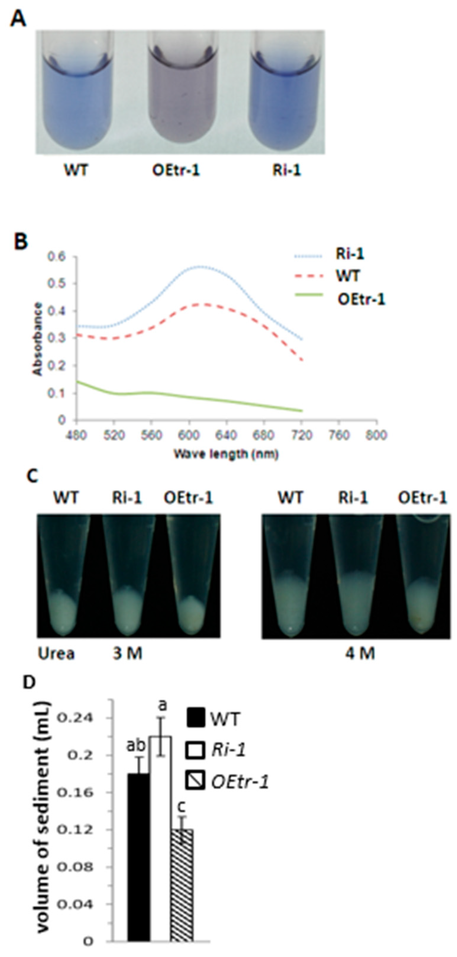 Ijms 19 03247 g004 Ijms 19 03247 g004
