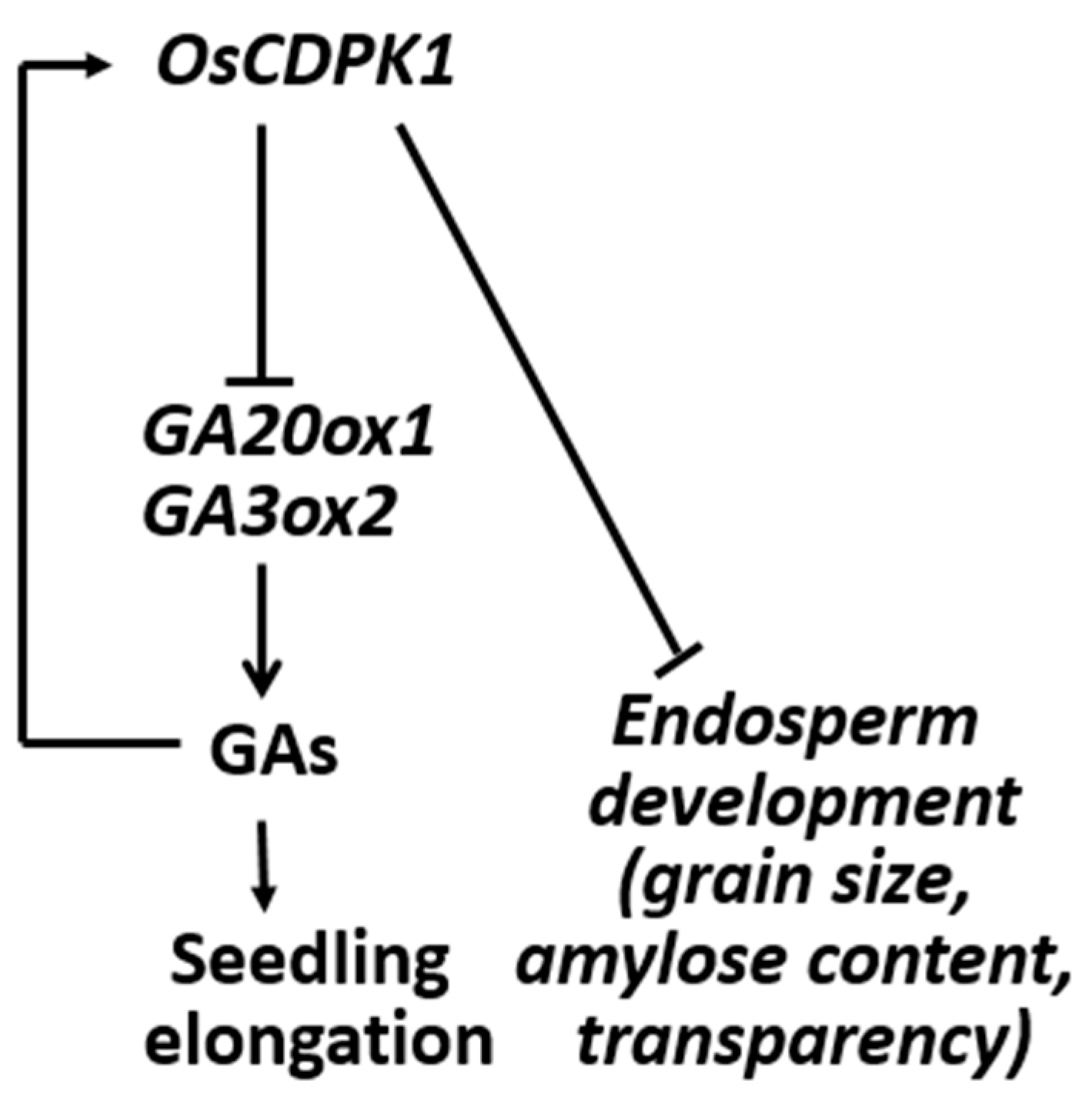 Ijms 19 03247 g007 Ijms 19 03247 g007