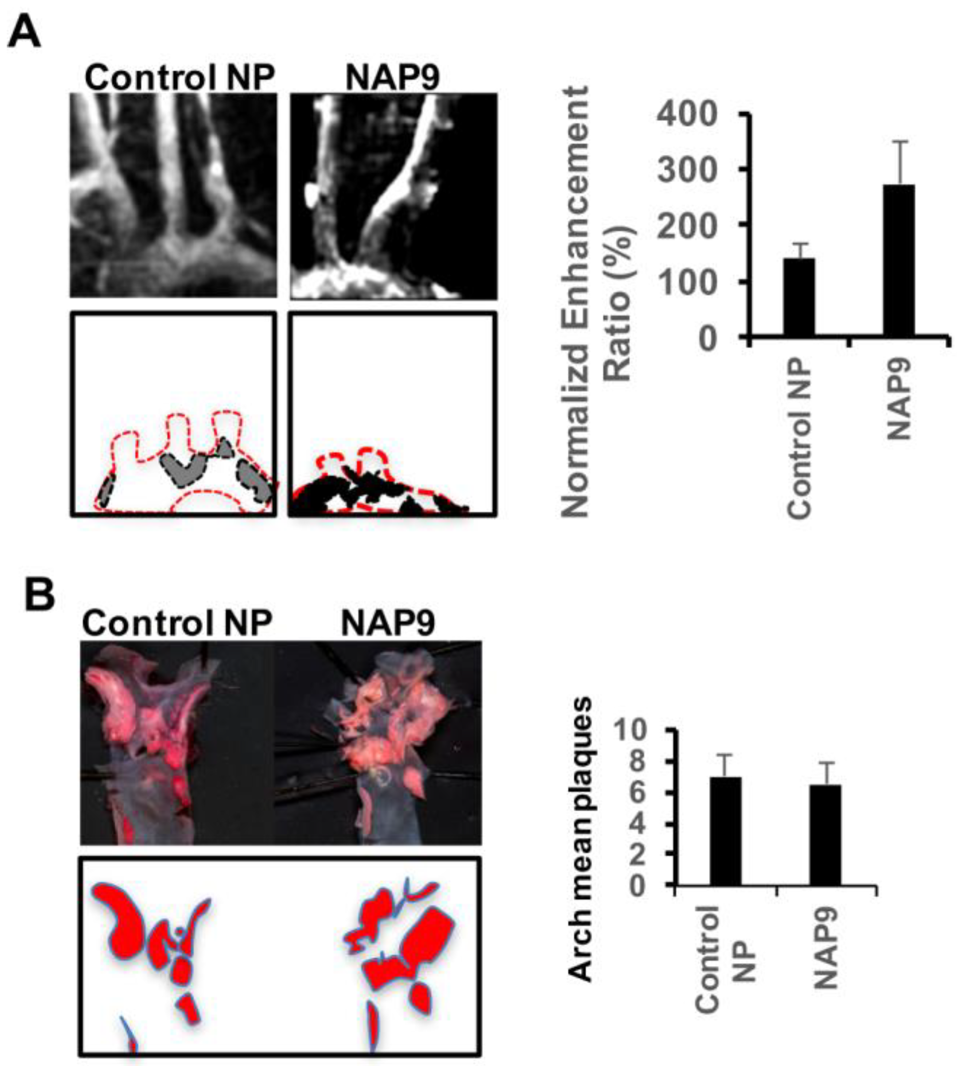 Ijms 19 03248 g005 Ijms 19 03248 g005