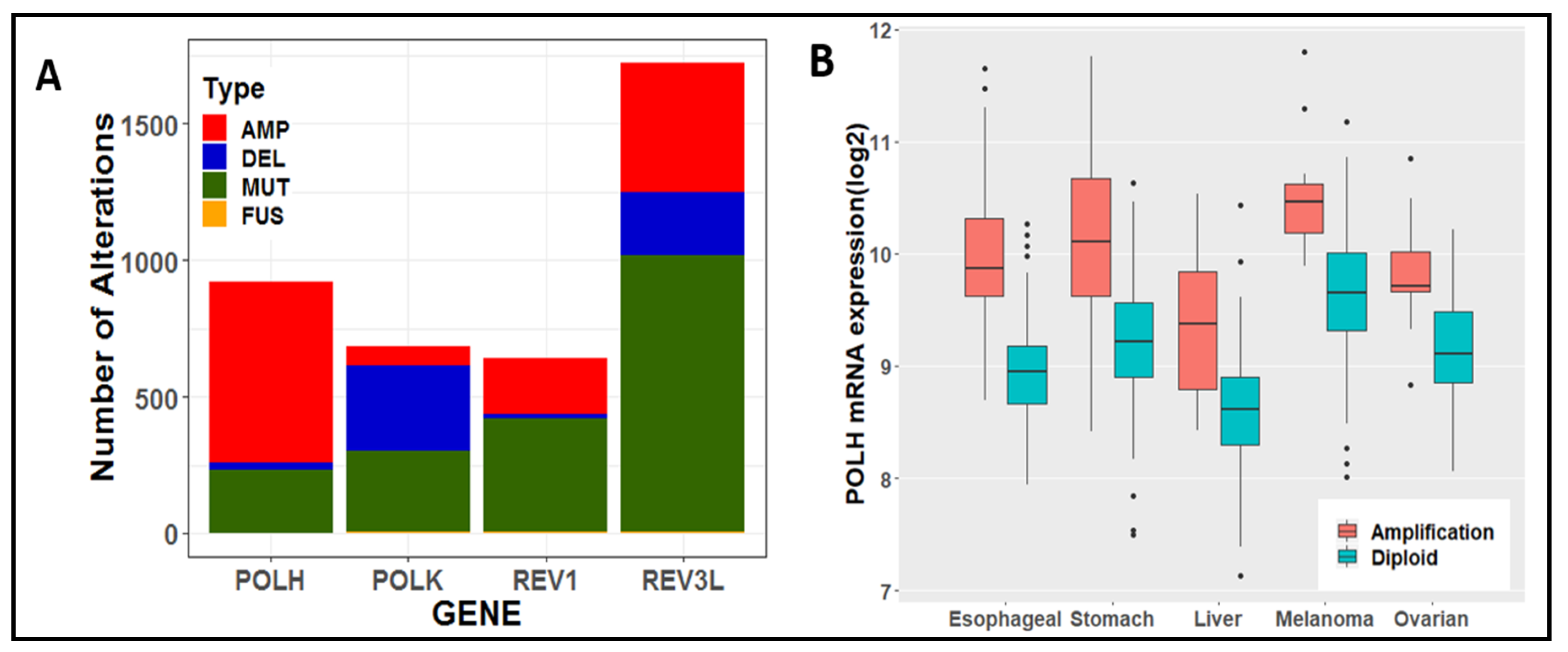 Ijms Free Full Text Detours To Replication Functions Of
