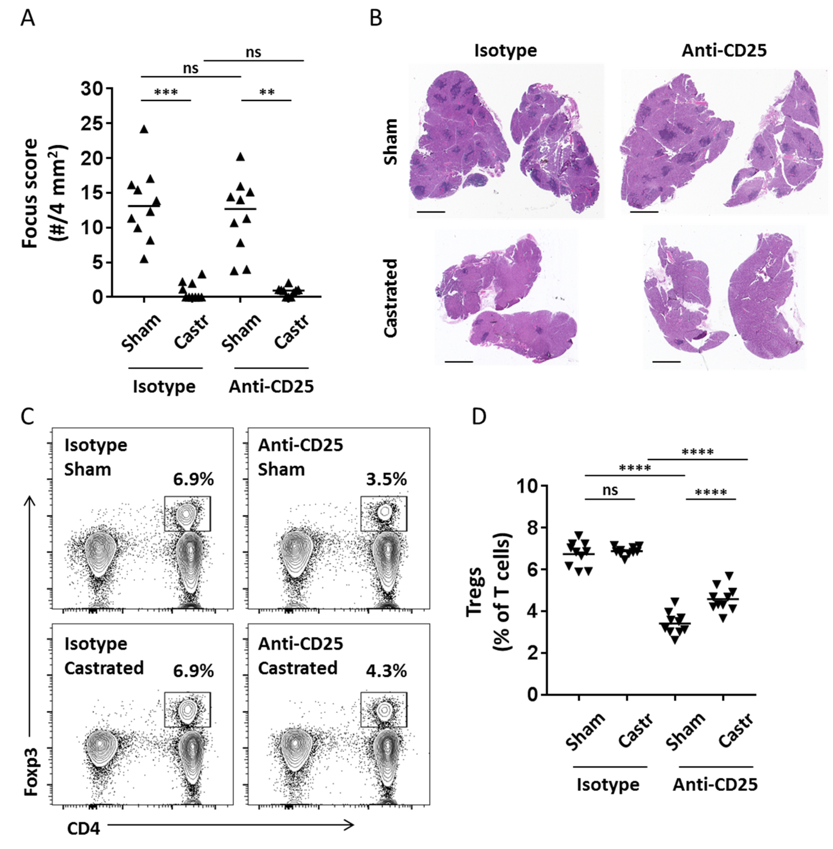 Ijms 19 03259 g001 Ijms 19 03259 g001