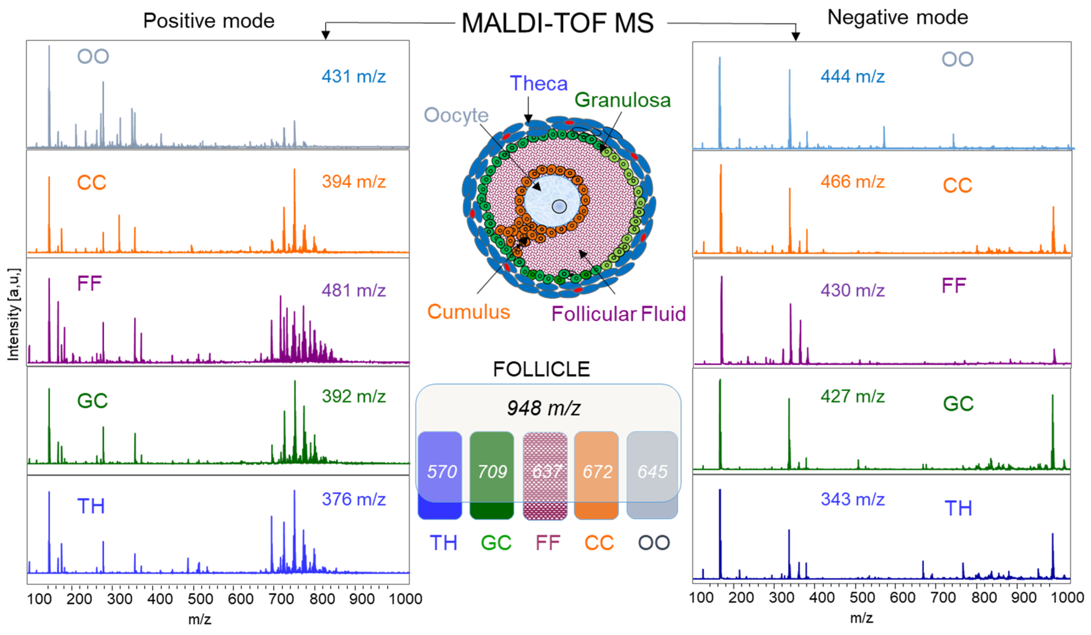 Ijms 19 03261 g004