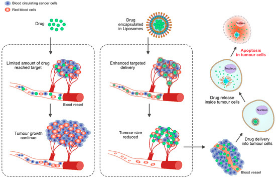 Nanoparticle-Mediated Combination Therapy: Two-in-One Nanoparticle-Mediated Combination Therapy: Two-in-One