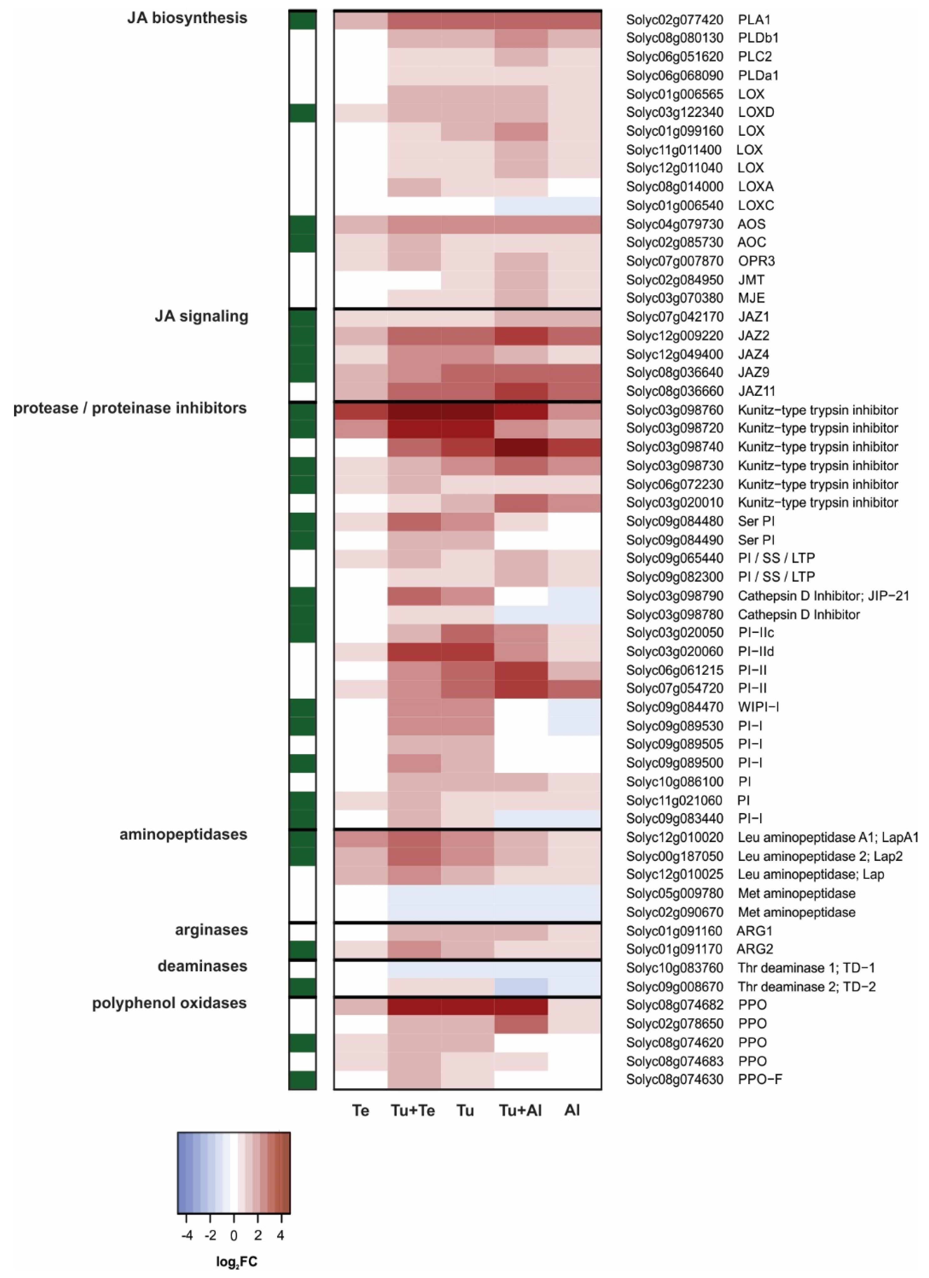 Ijms 19 03265 g003 Ijms 19 03265 g003
